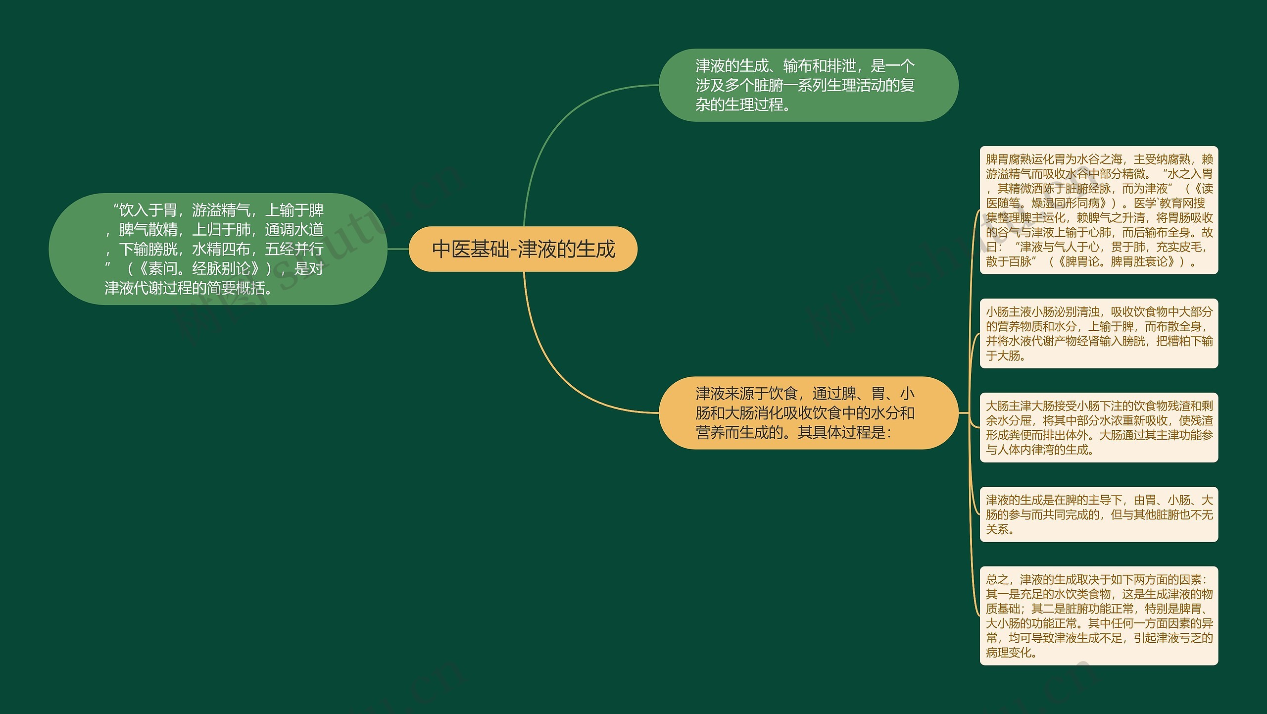 中医基础-津液的生成 中医基础-津液的生成