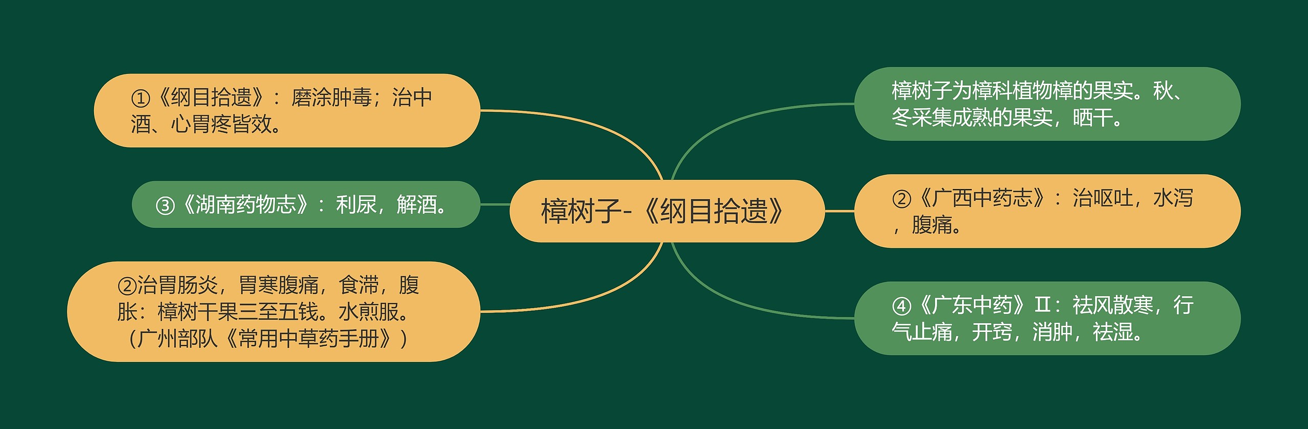 樟树子-《纲目拾遗》思维导图