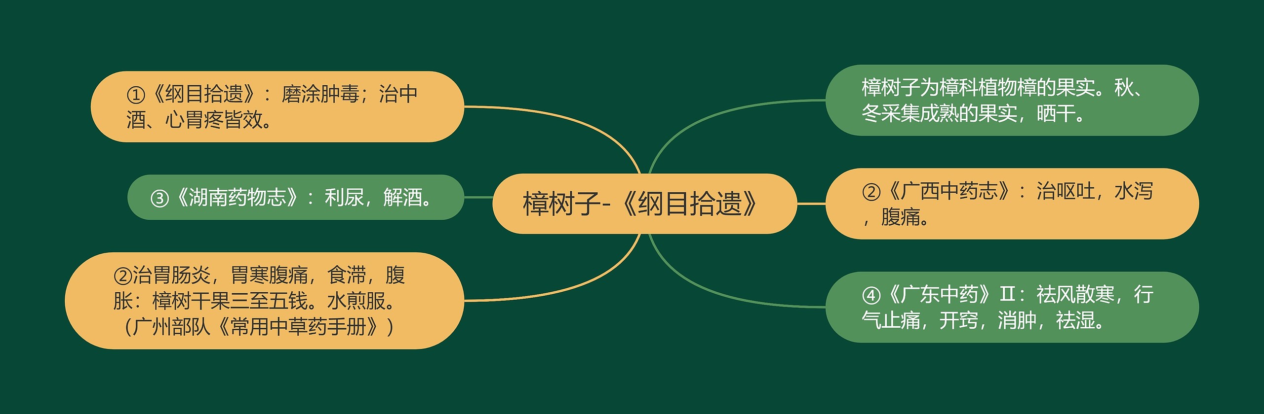 樟树子-《纲目拾遗》 樟树子-《纲目拾遗》