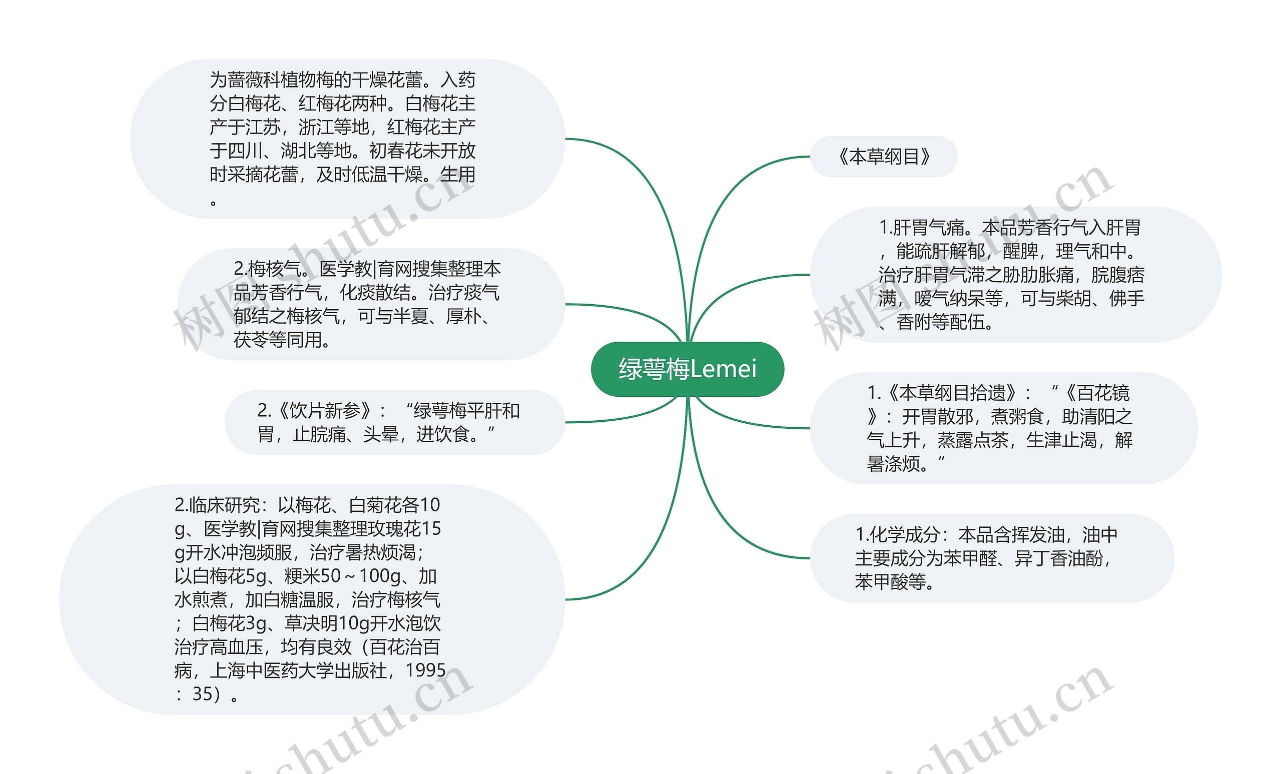 绿萼梅Lemei思维导图