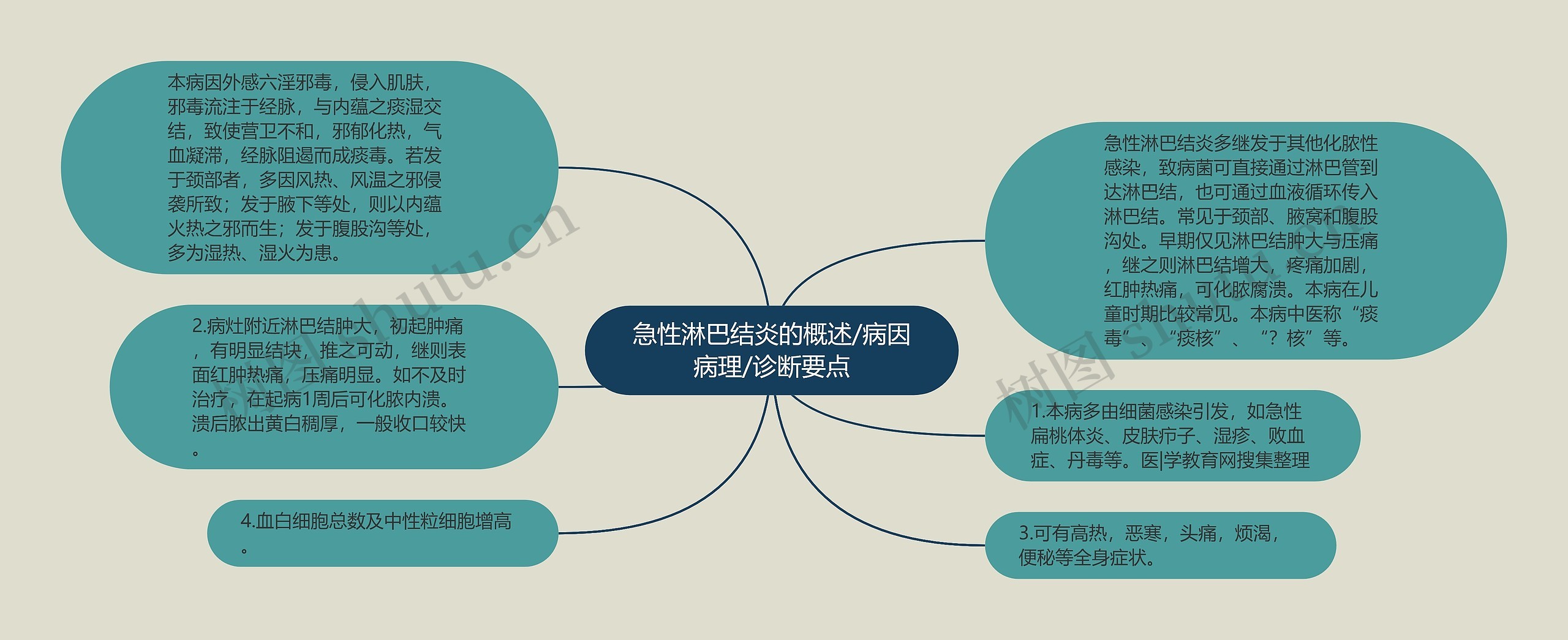 急性淋巴结炎的概述/病因病理/诊断要点思维导图