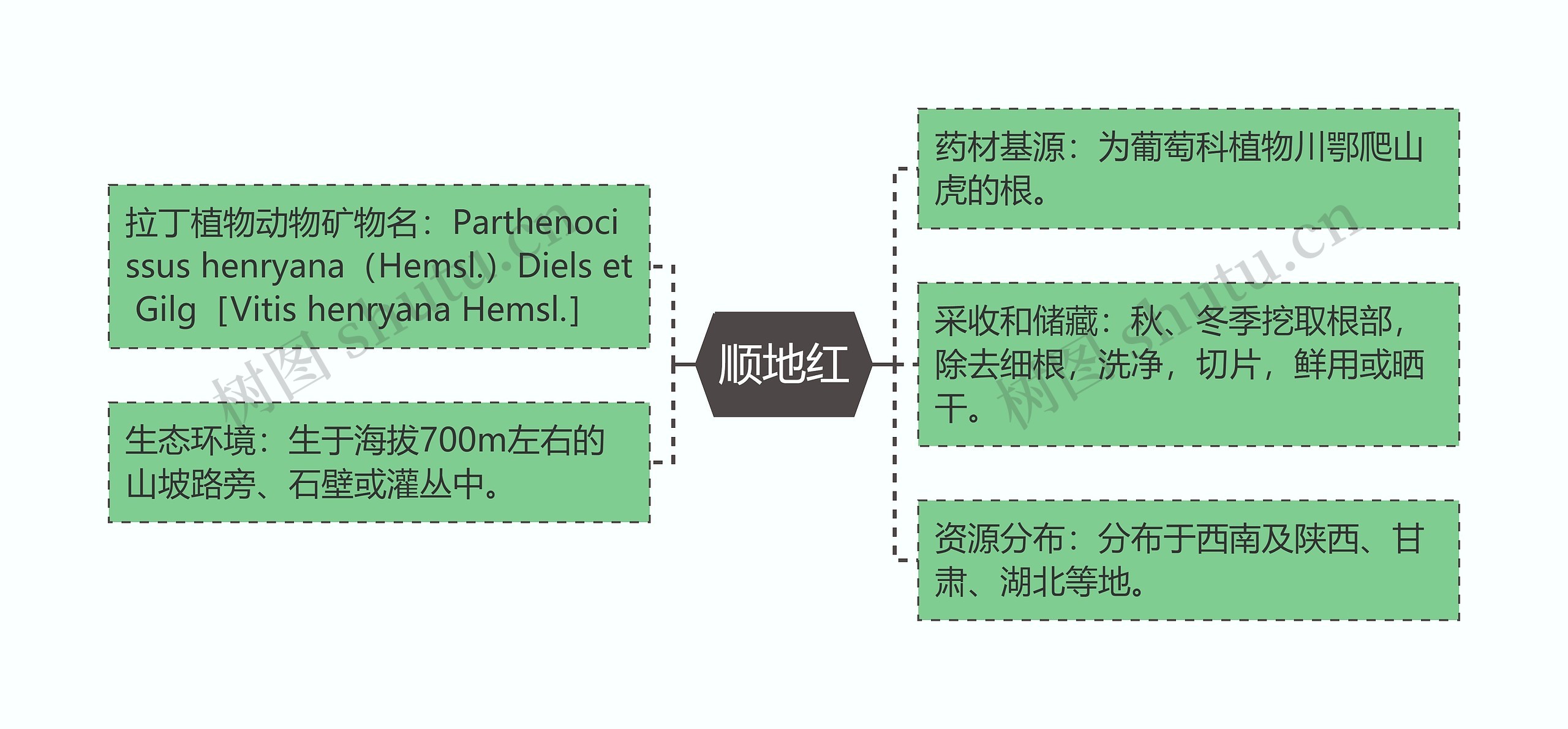 顺地红思维导图