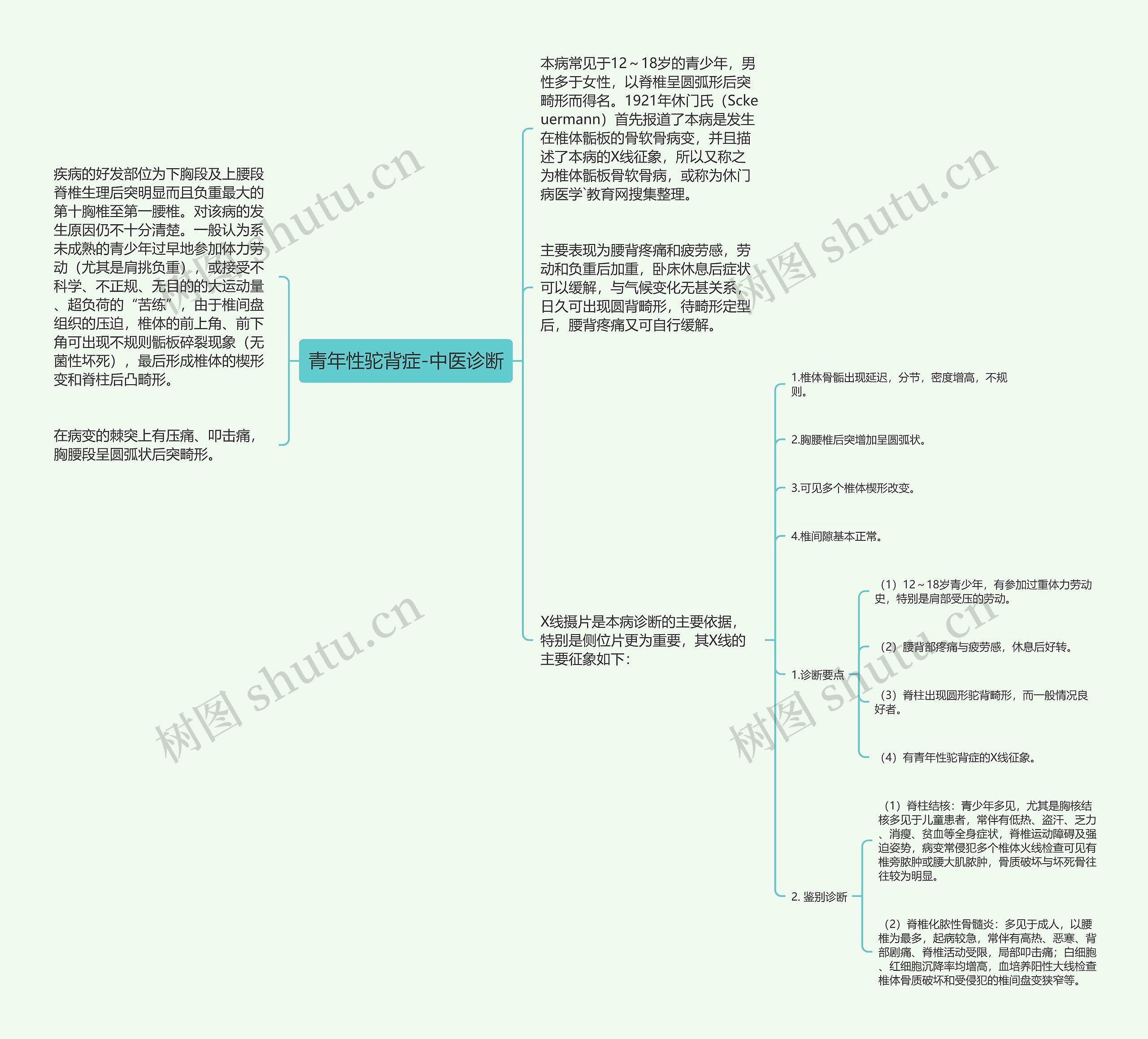 青年性驼背症-中医诊断思维导图