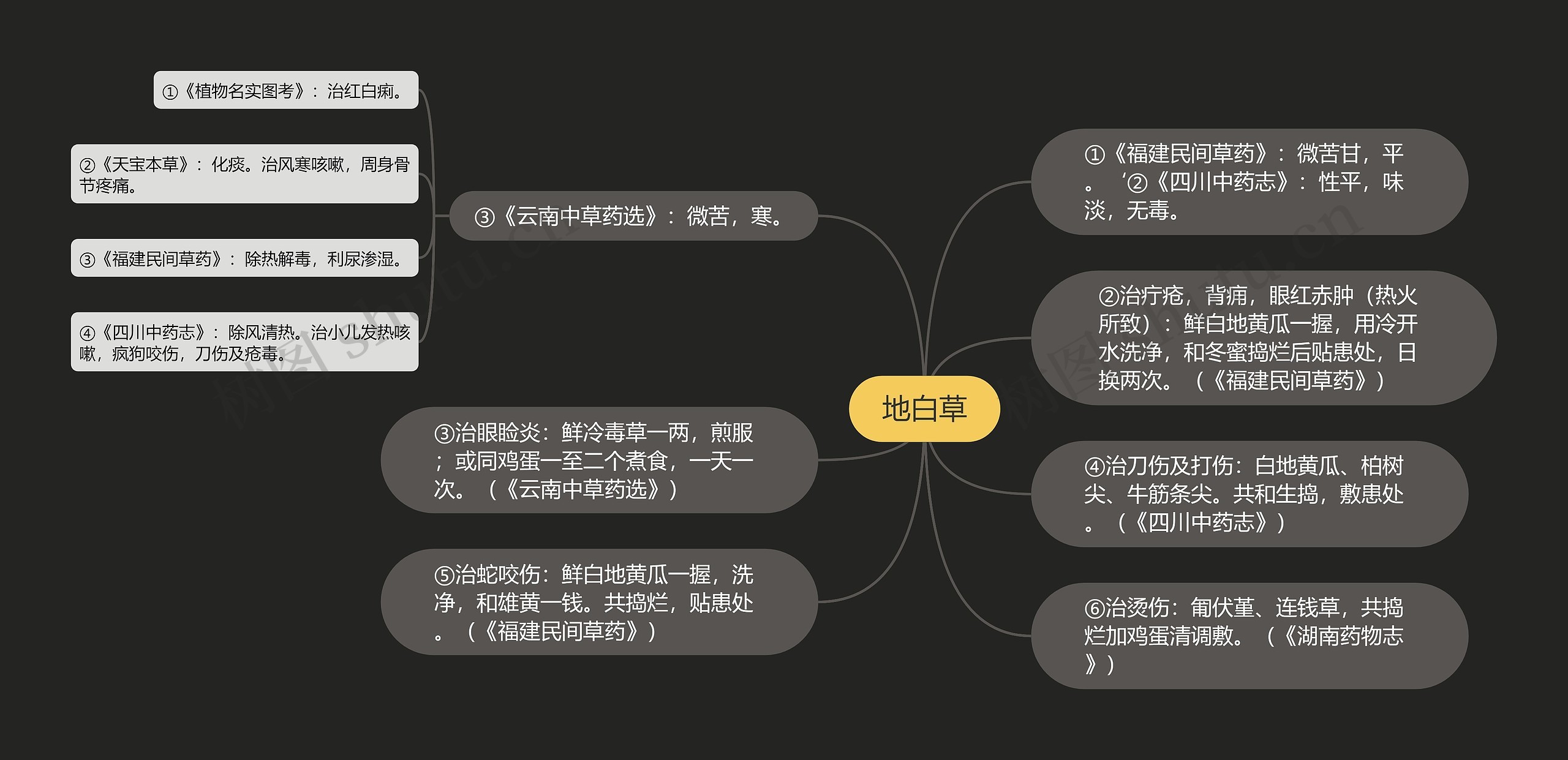 地白草思维导图