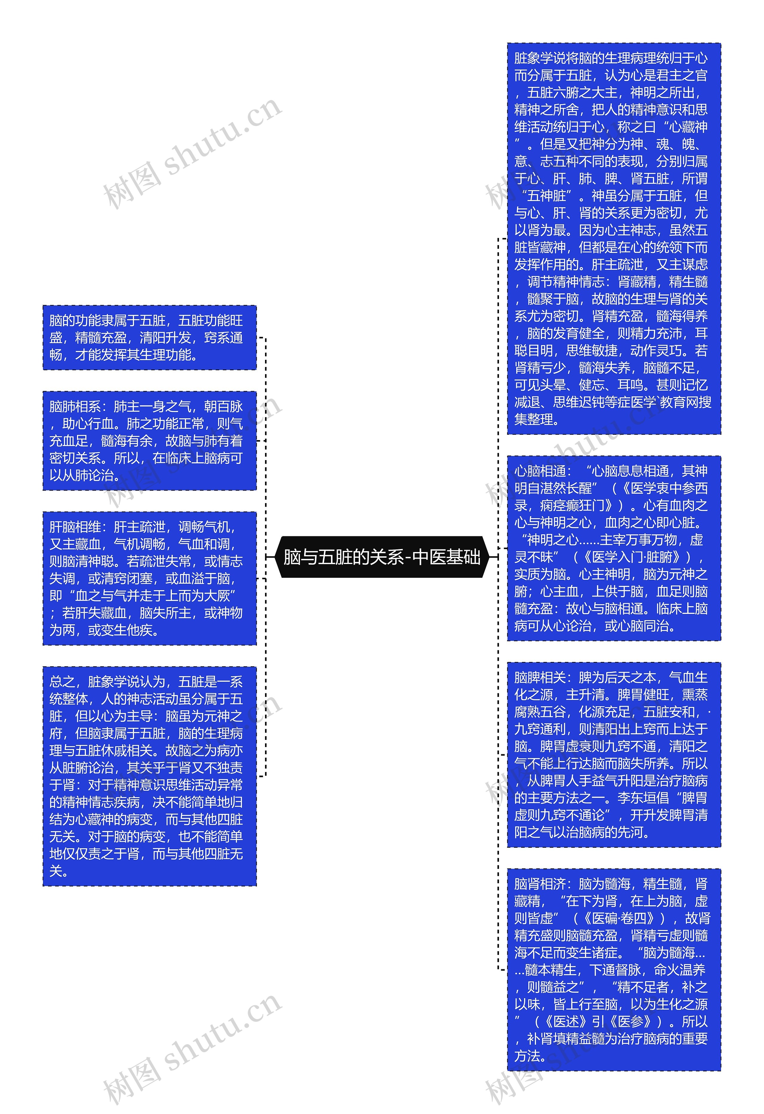 脑与五脏的关系-中医基础思维导图