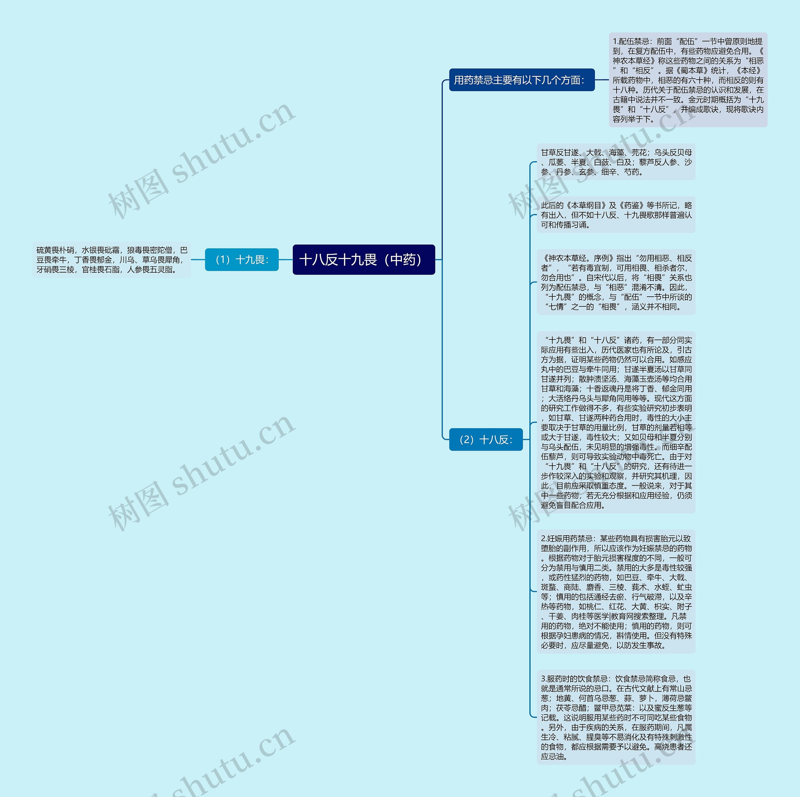 十八反十九畏（中药）思维导图