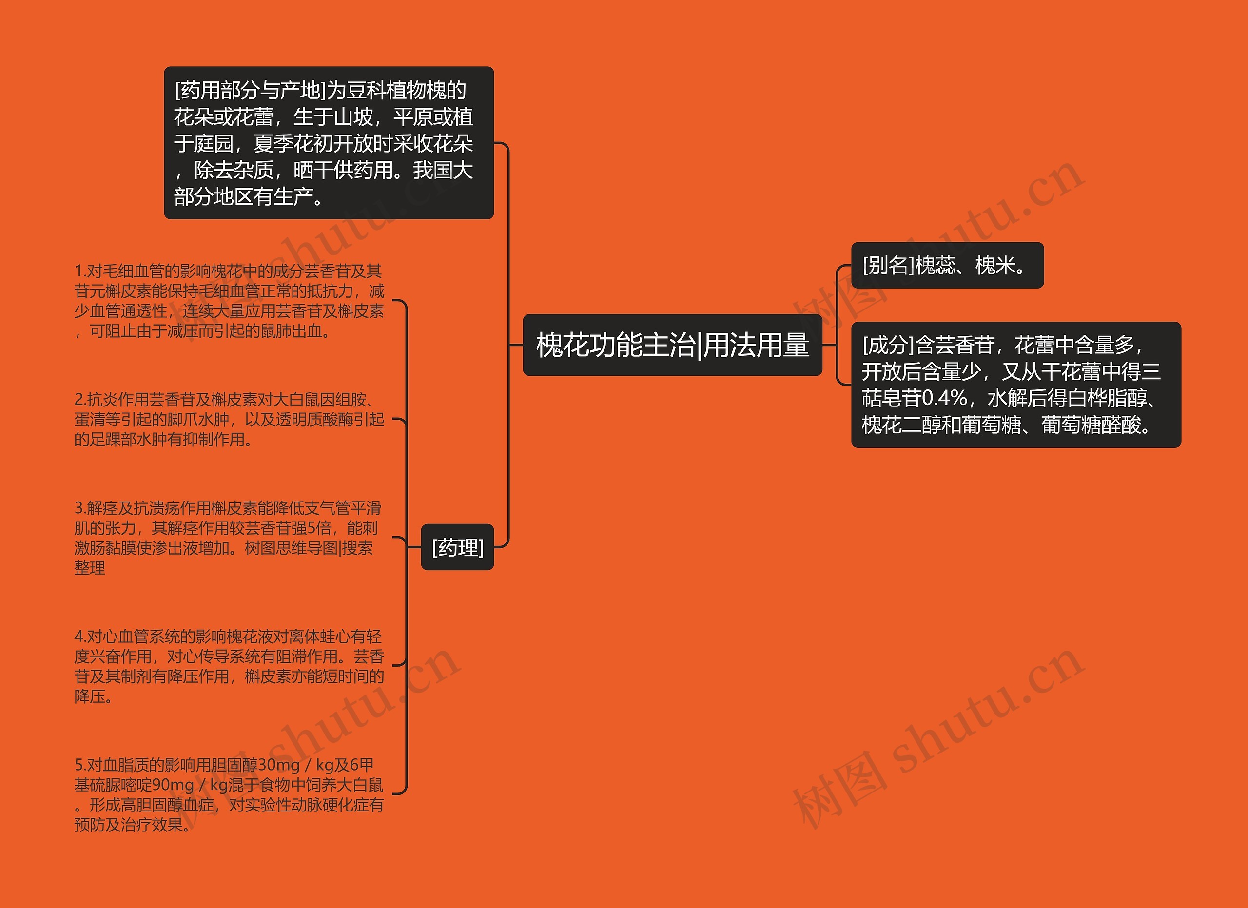 槐花功能主治|用法用量