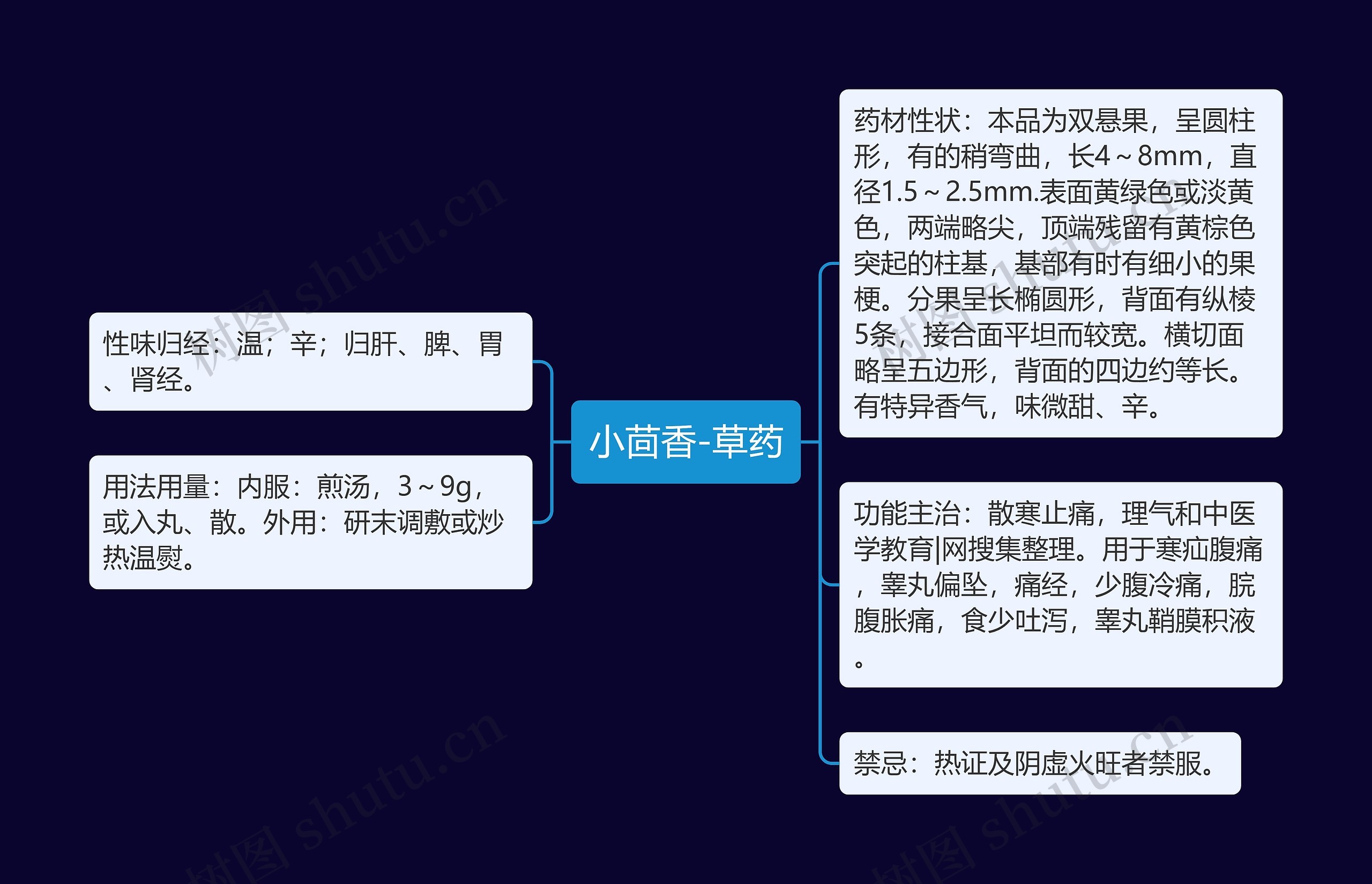 小茴香-草药思维导图