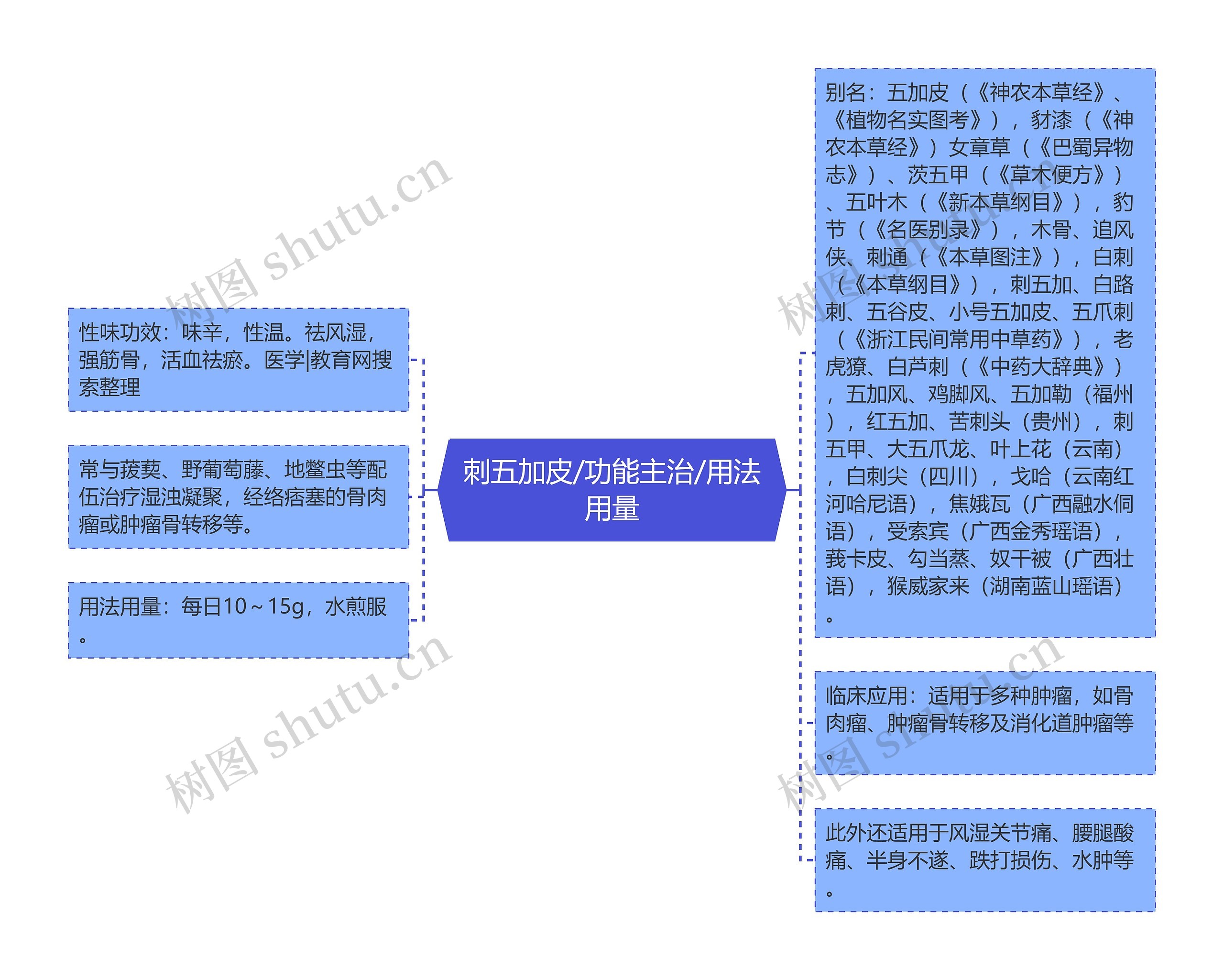 刺五加皮/功能主治/用法用量思维导图