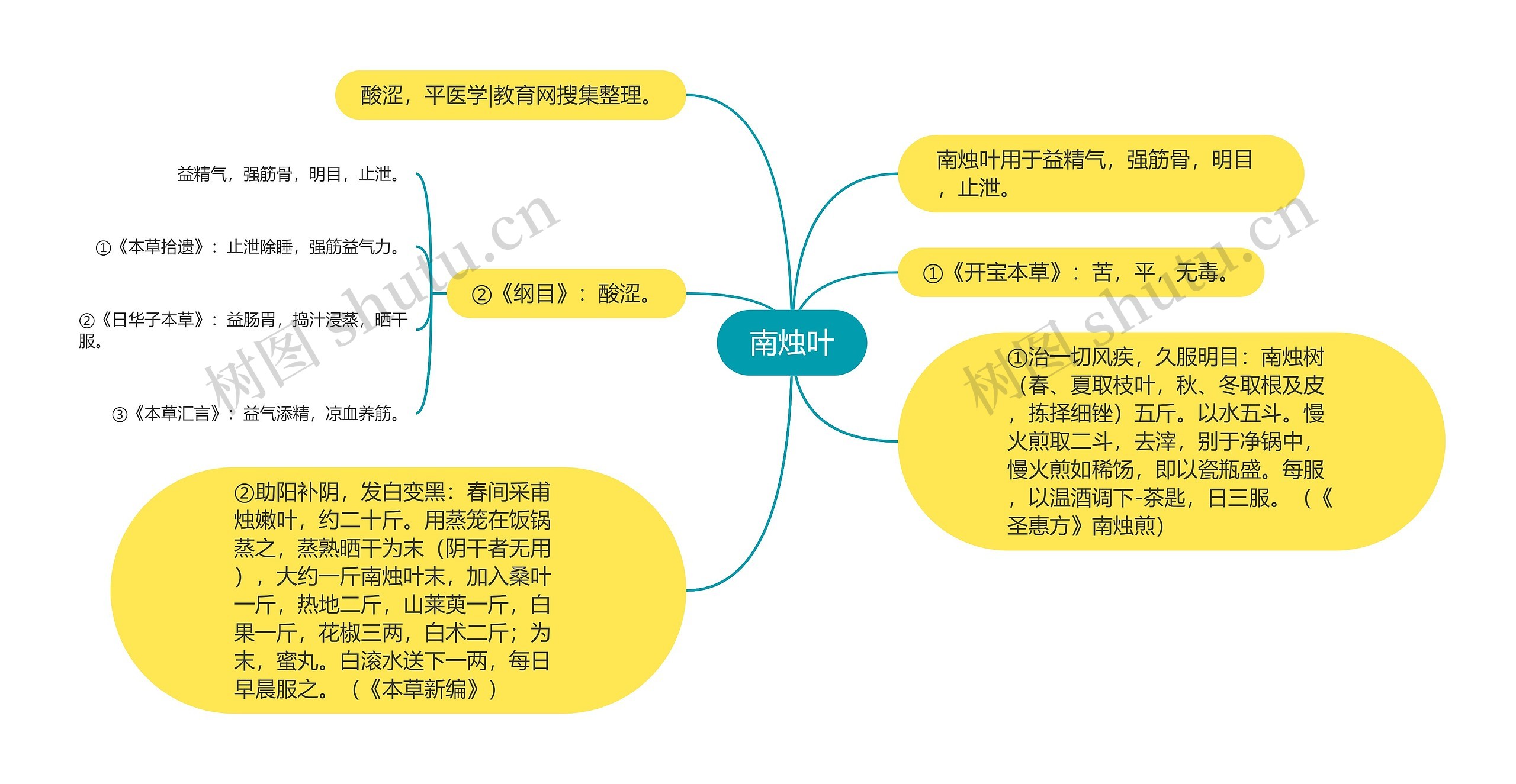 南烛叶思维导图