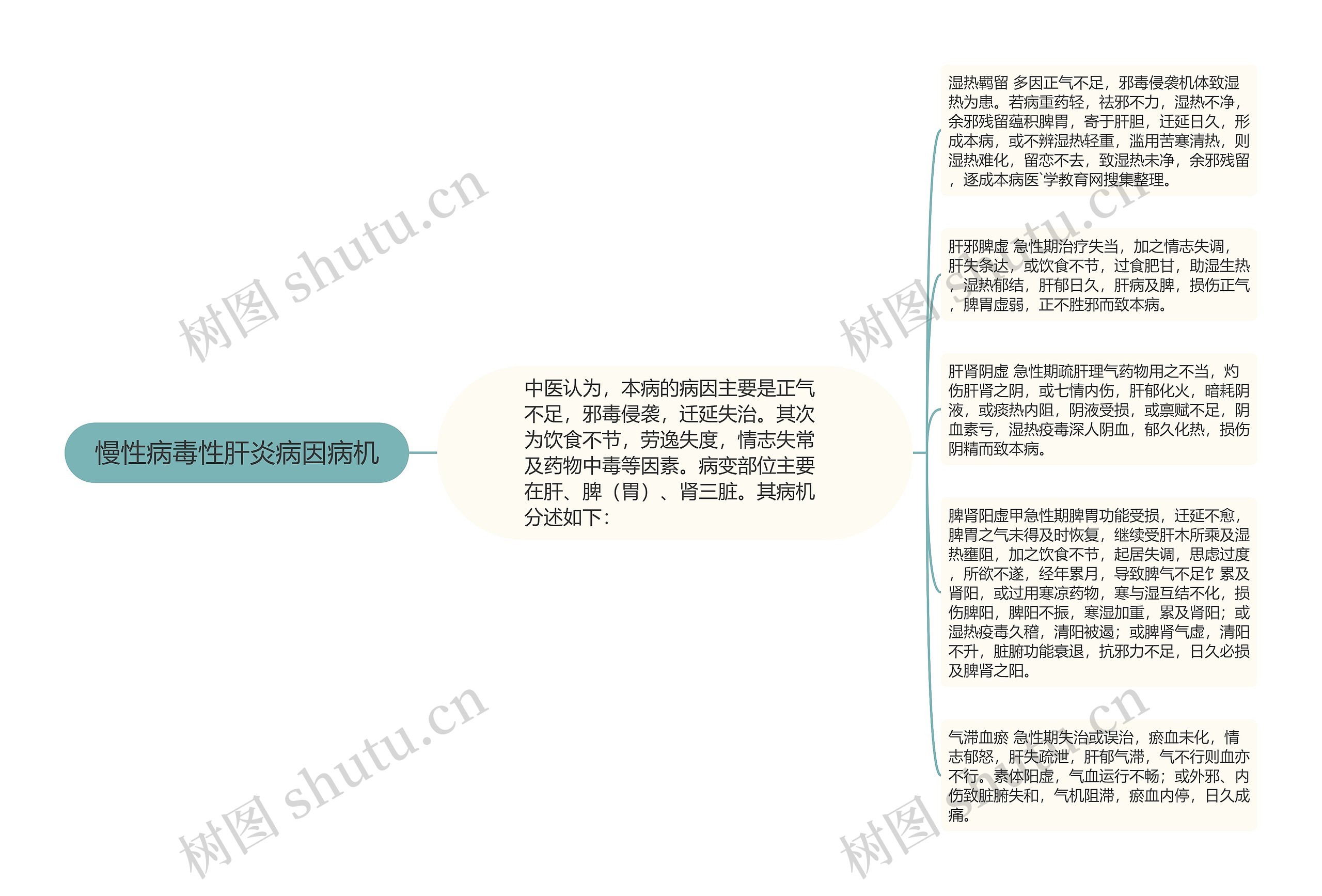 慢性病毒性肝炎病因病机思维导图