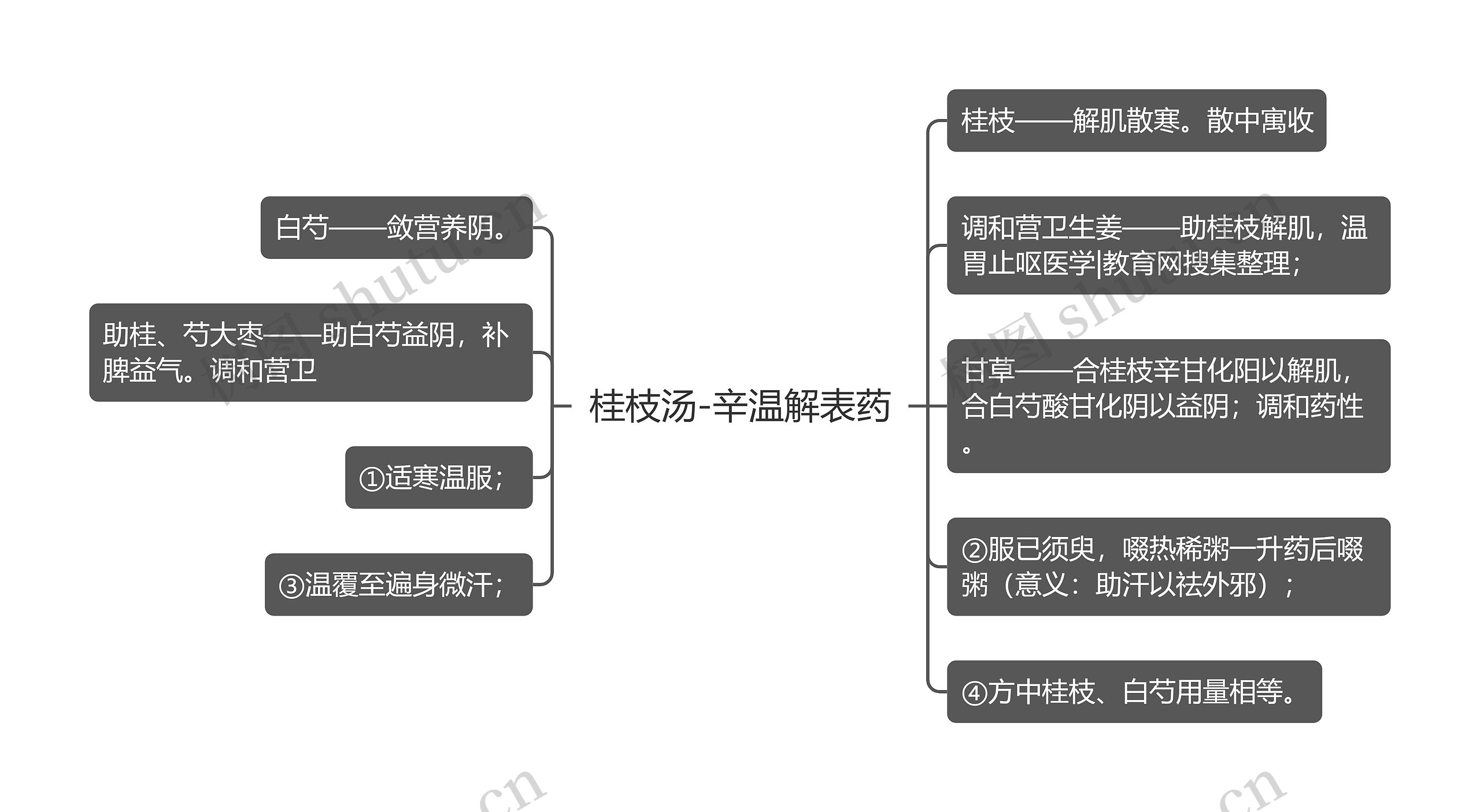 桂枝汤-辛温解表药