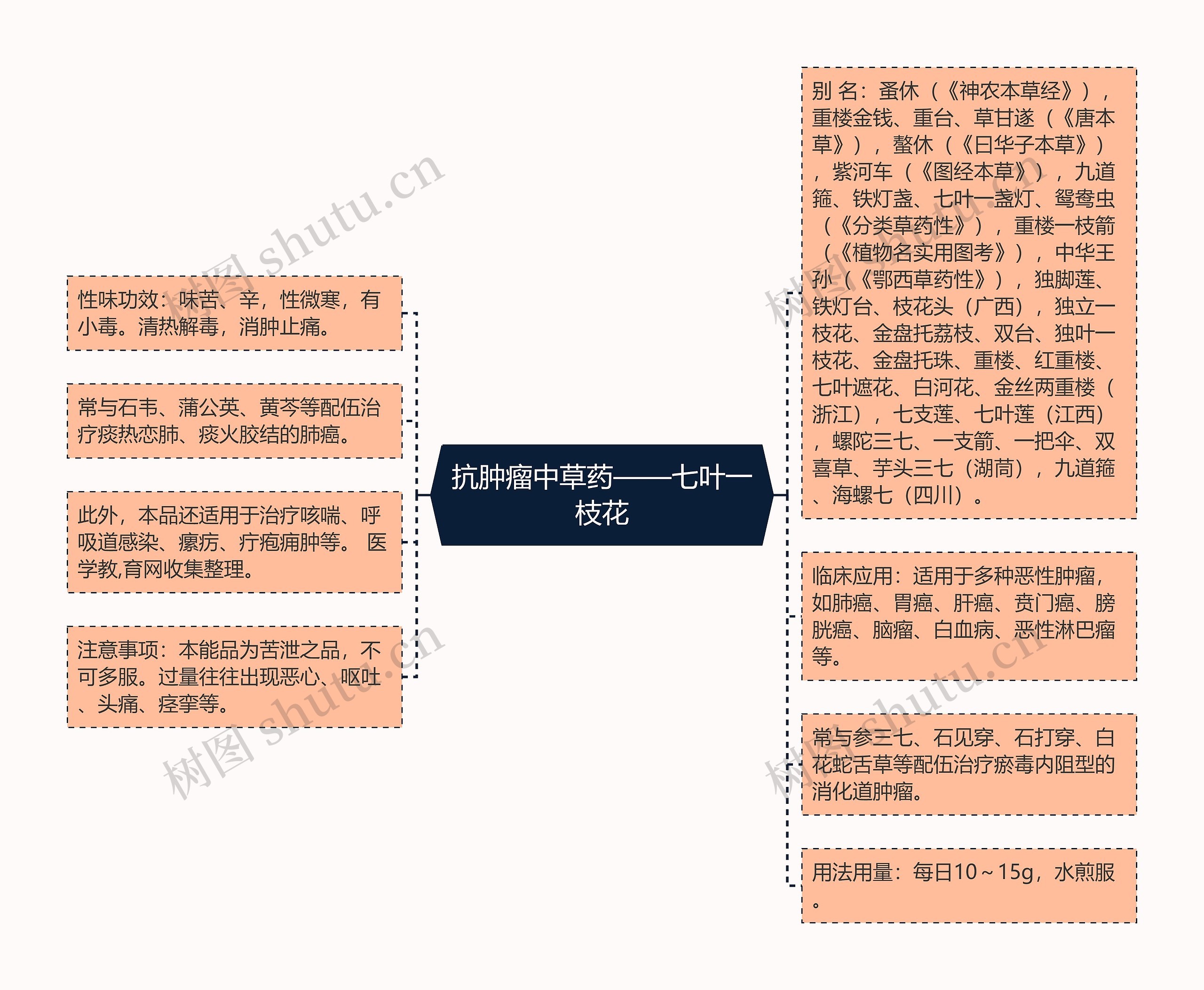抗肿瘤中草药——七叶一枝花思维导图
