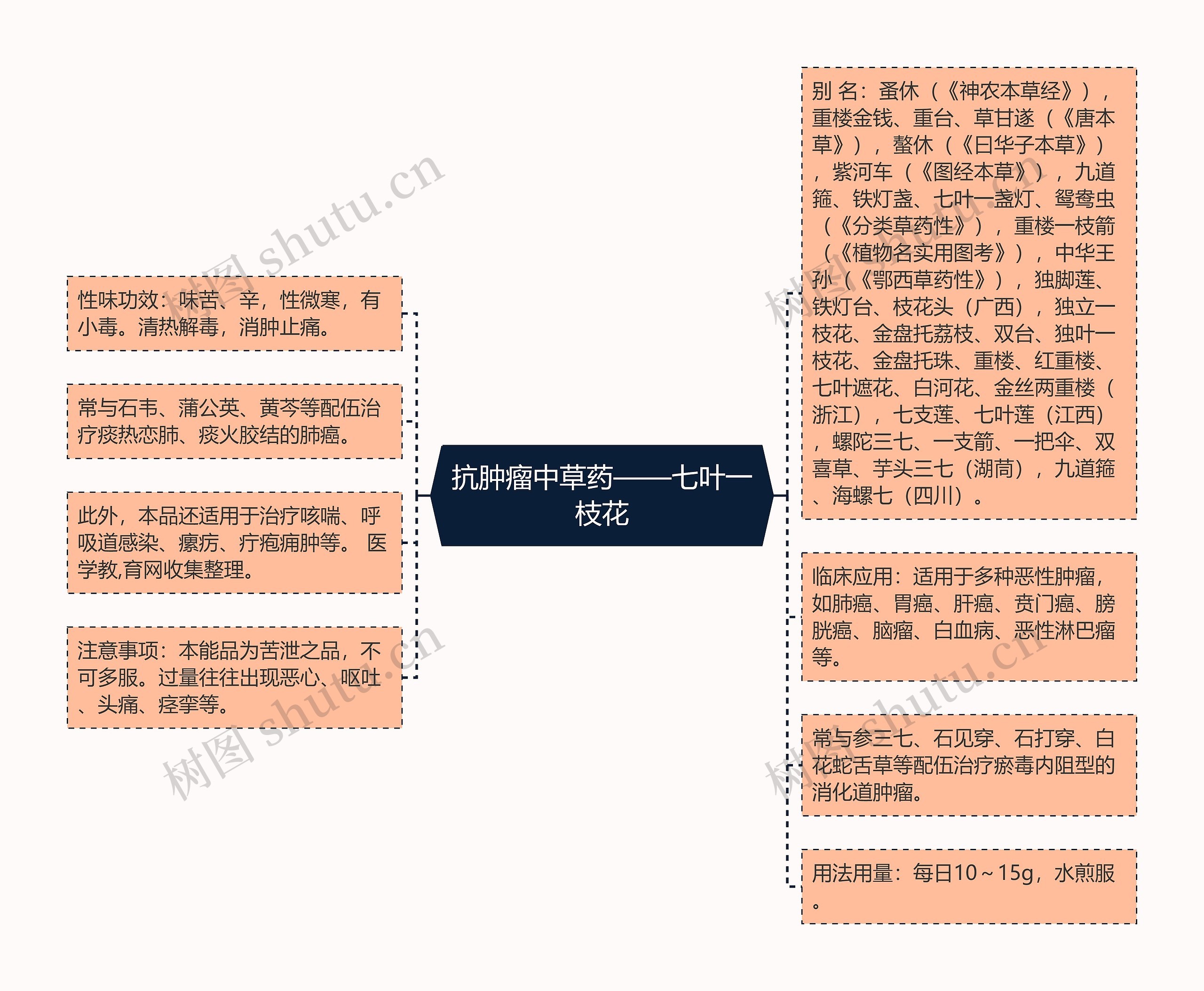 抗肿瘤中草药——七叶一枝花 抗肿瘤中草药——七叶一枝花