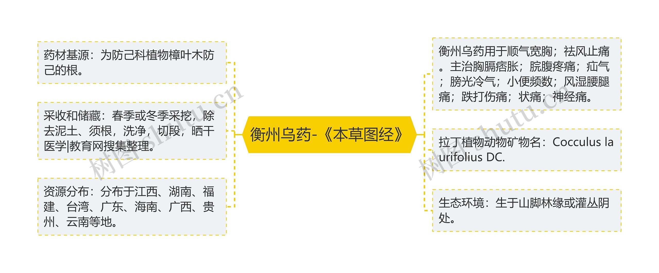 衡州乌药-《本草图经》思维导图