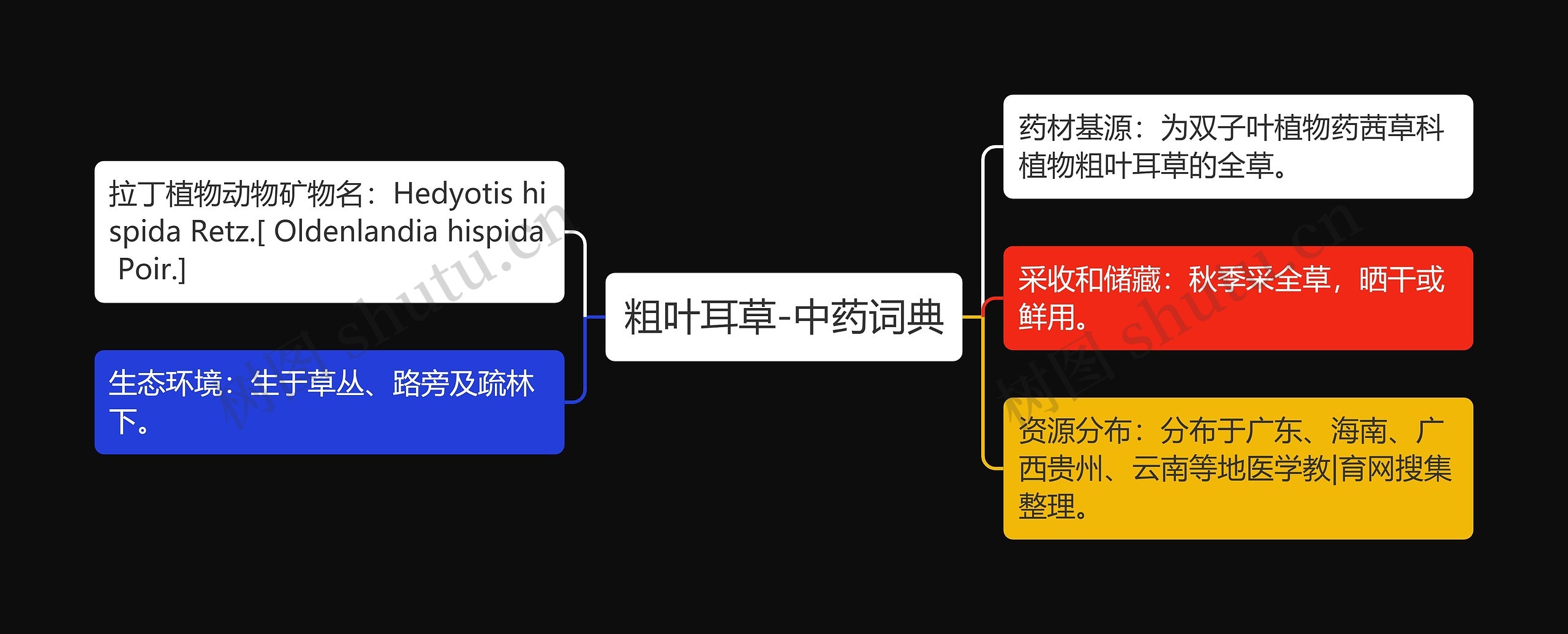 粗叶耳草-中药词典思维导图