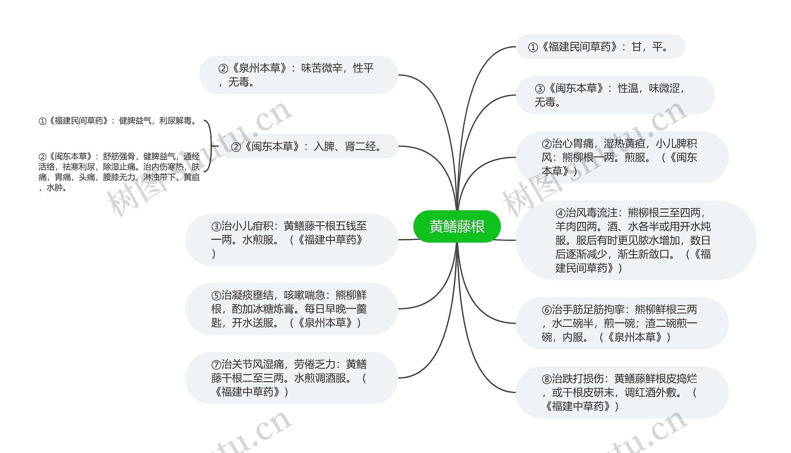 黄鳝藤根 黄鳝藤根