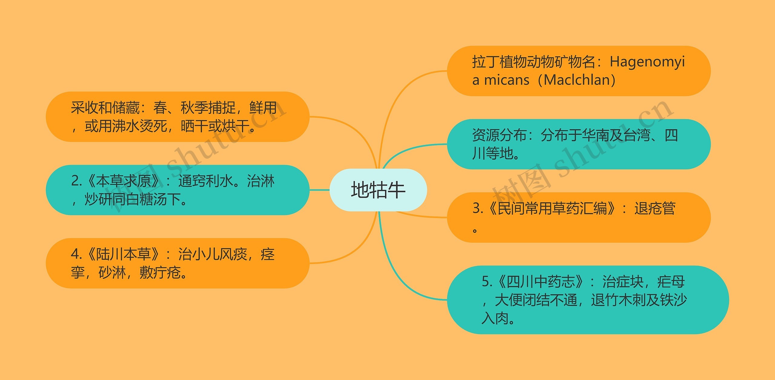 地牯牛思维导图