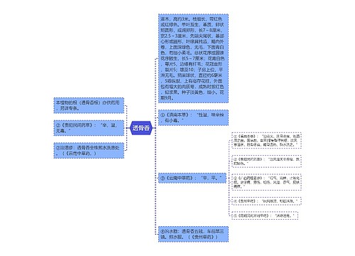 透骨香