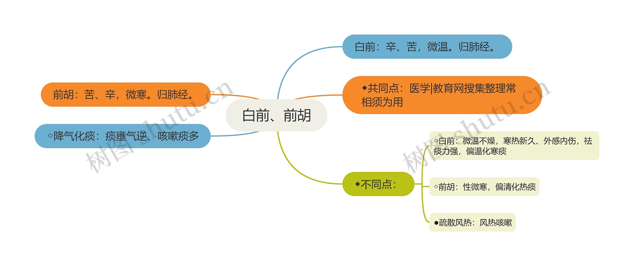 白前、前胡思维导图