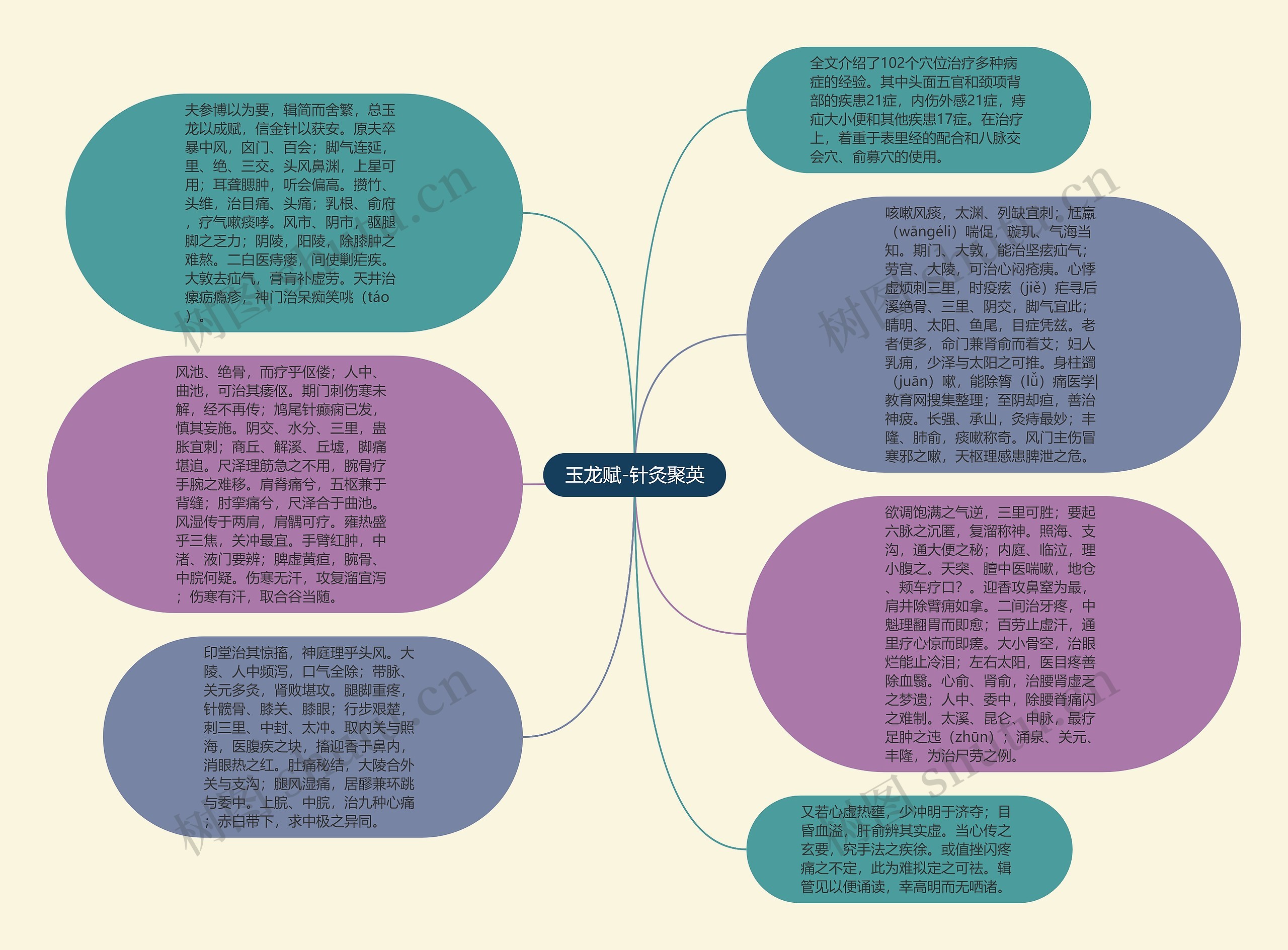 玉龙赋-针灸聚英思维导图