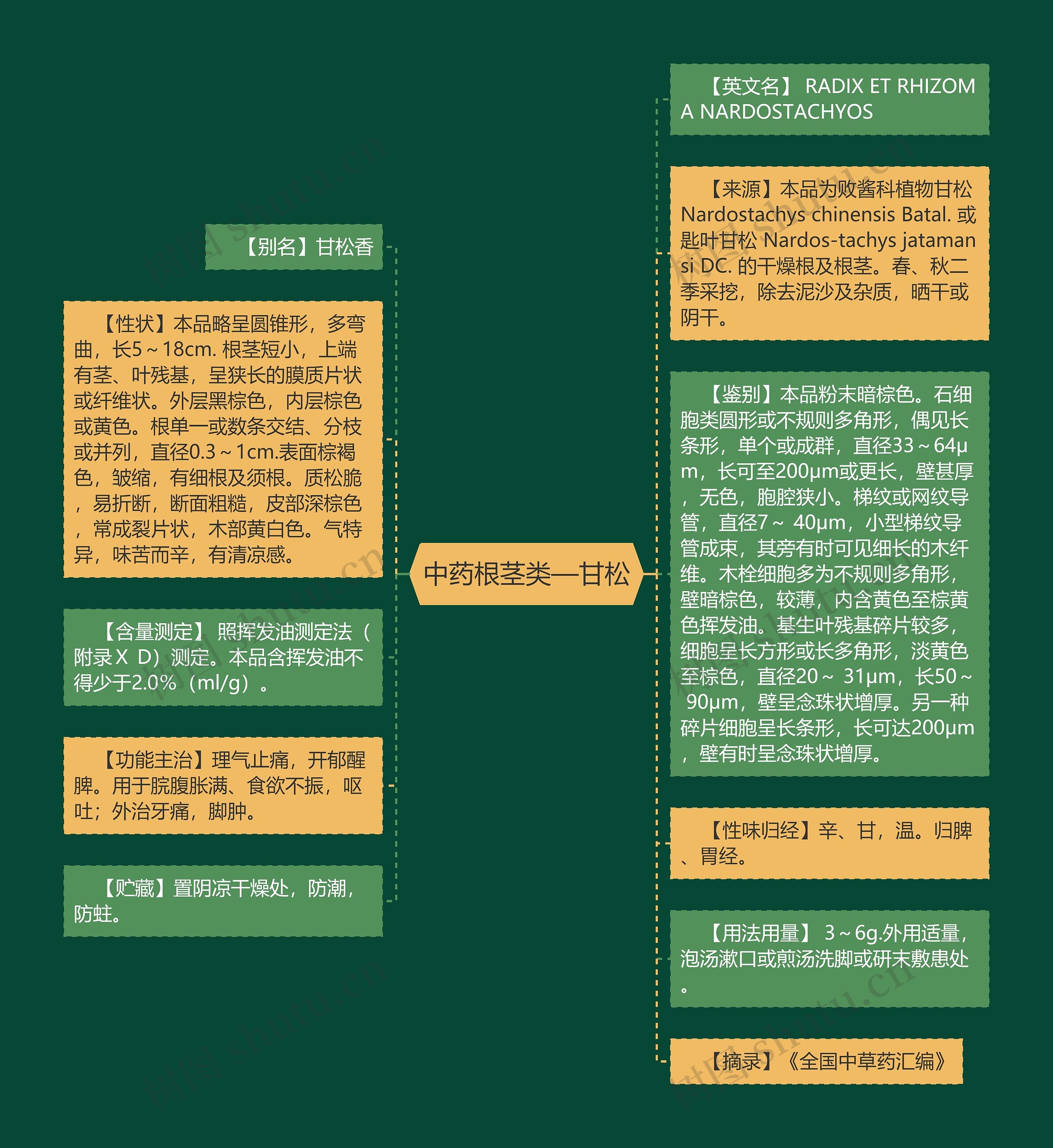 中药根茎类—甘松
