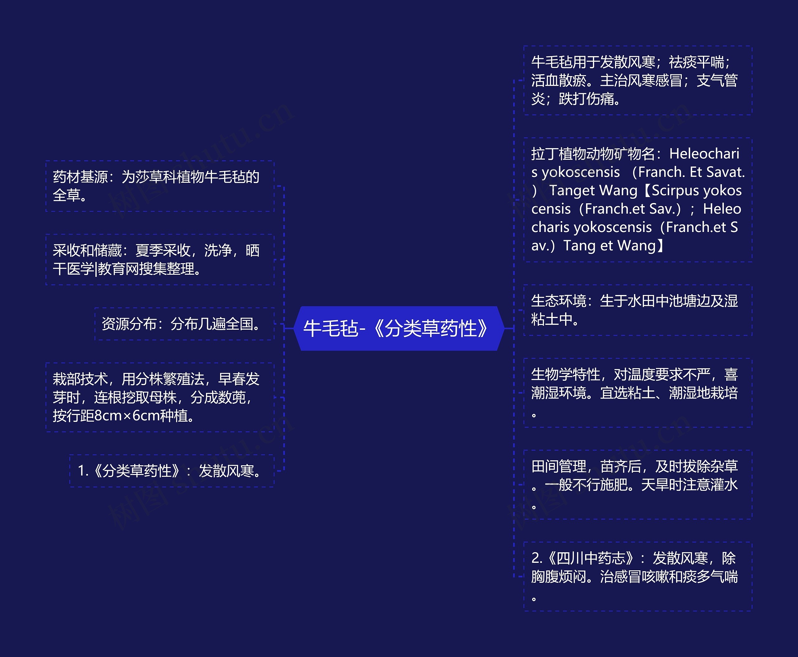 牛毛毡-《分类草药性》