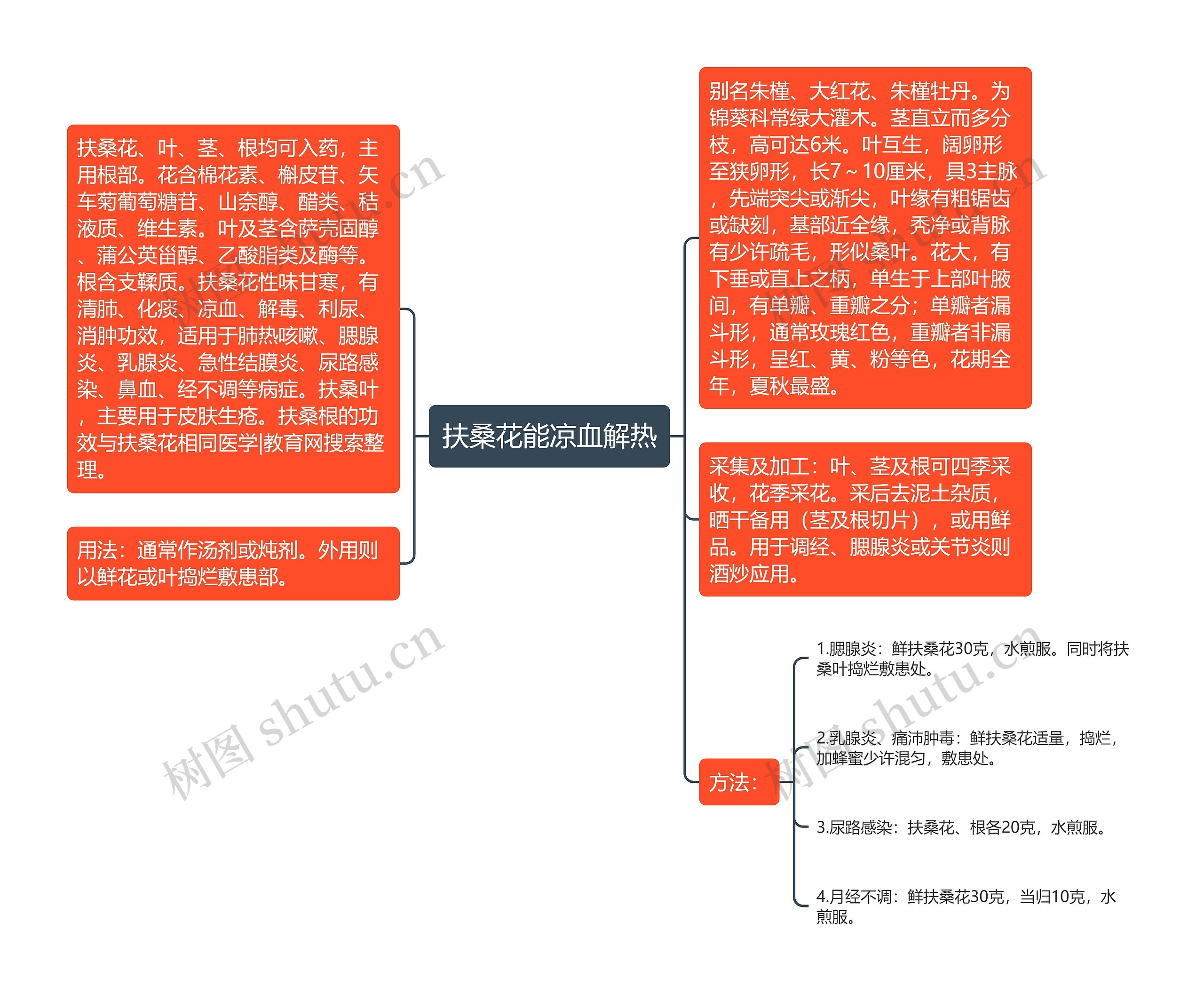 扶桑花能凉血解热思维导图