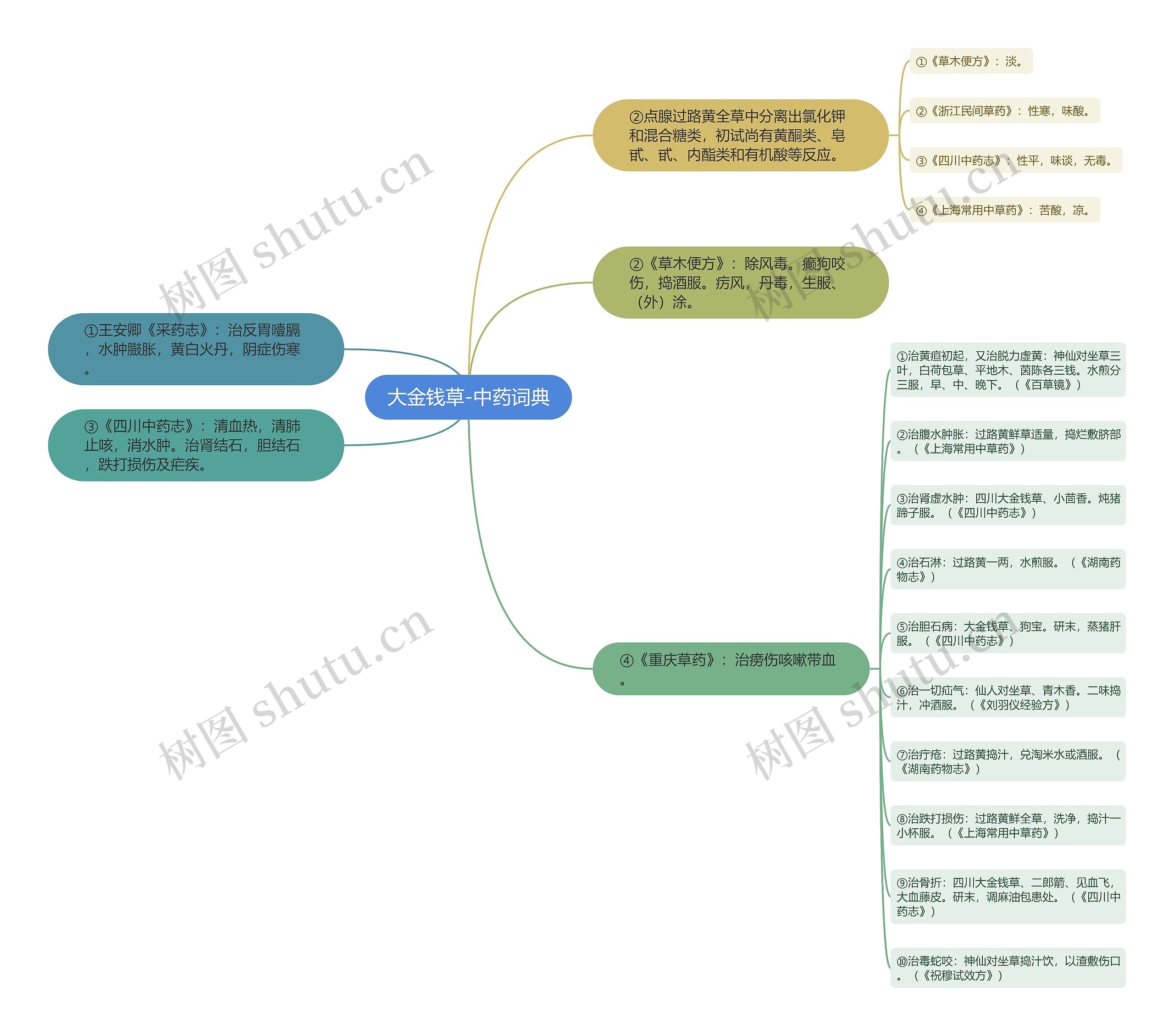 大金钱草-中药词典思维导图