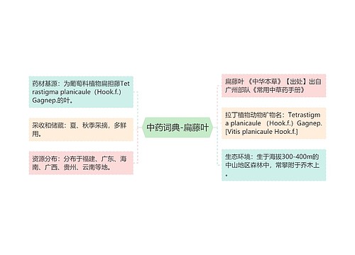 中药词典-扁藤叶