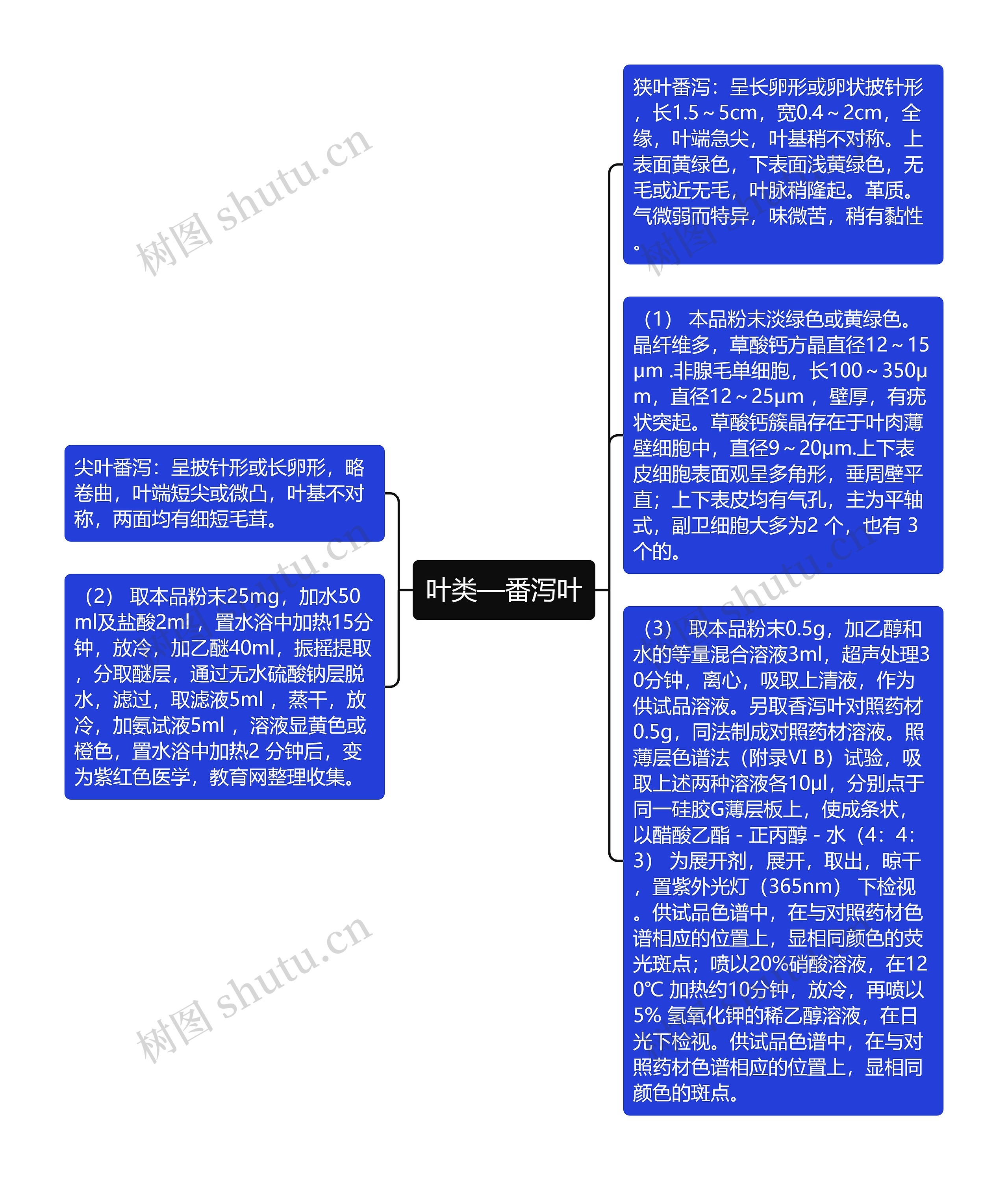 叶类—番泻叶思维导图