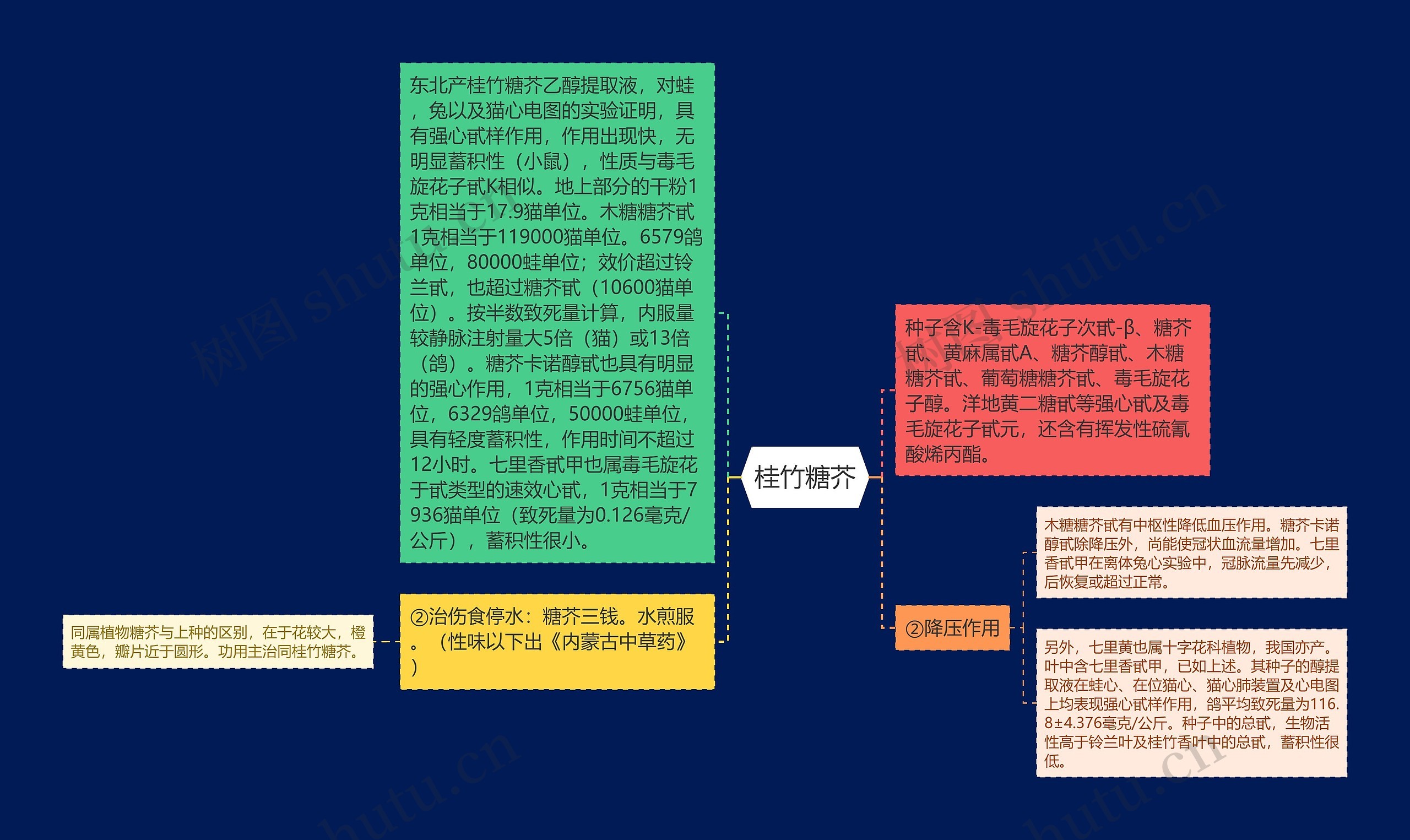 桂竹糖芥思维导图