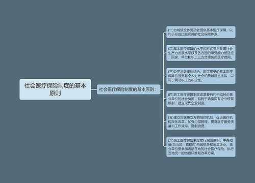 社会医疗保险制度的基本原则