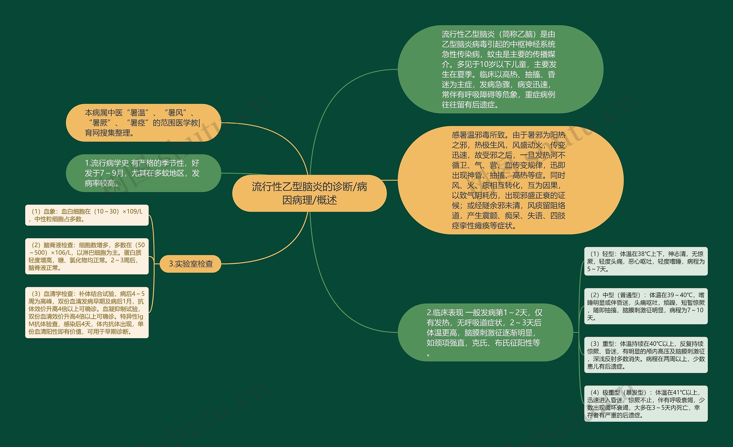 流行性乙型脑炎的诊断/病因病理/概述思维导图