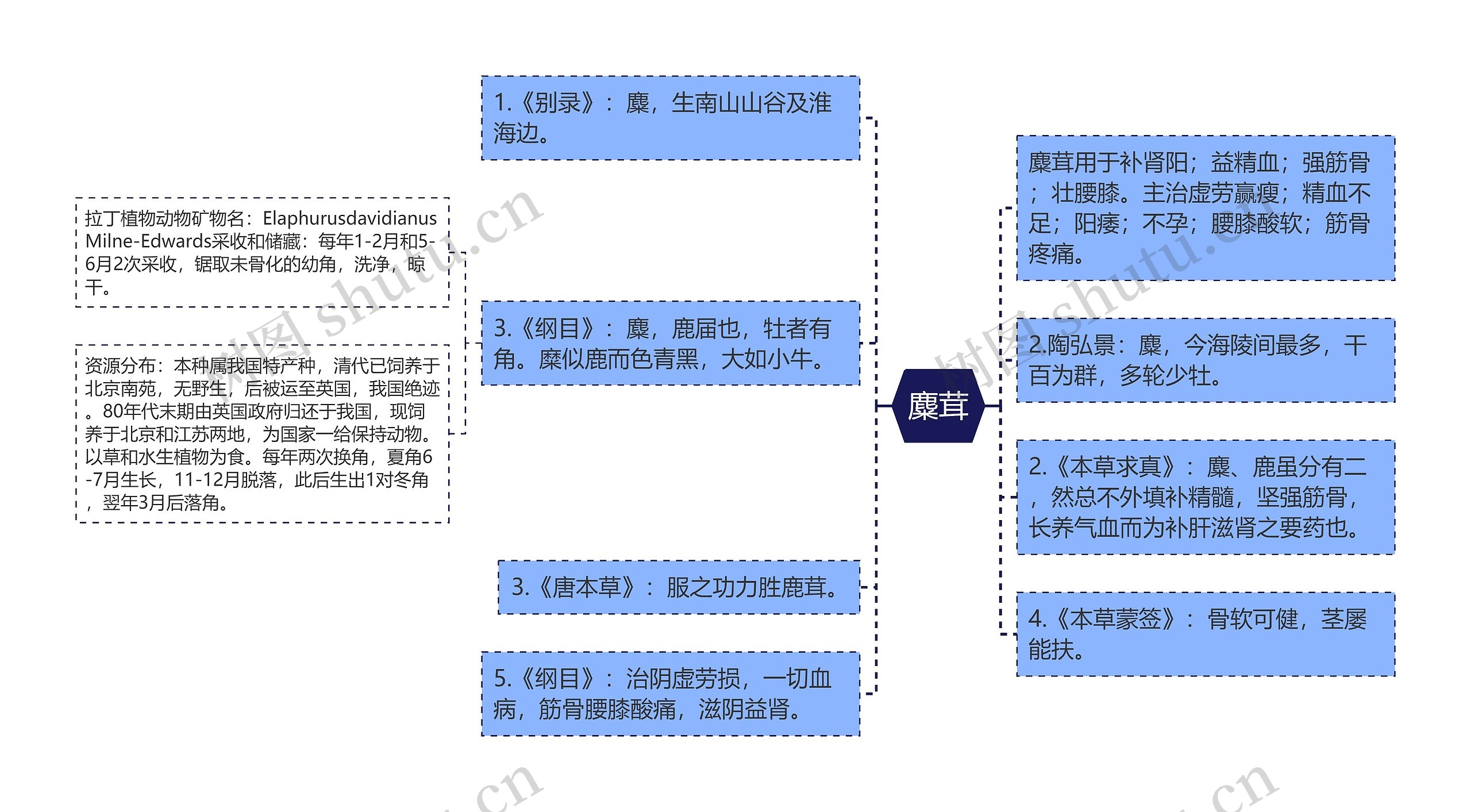 麋茸思维导图