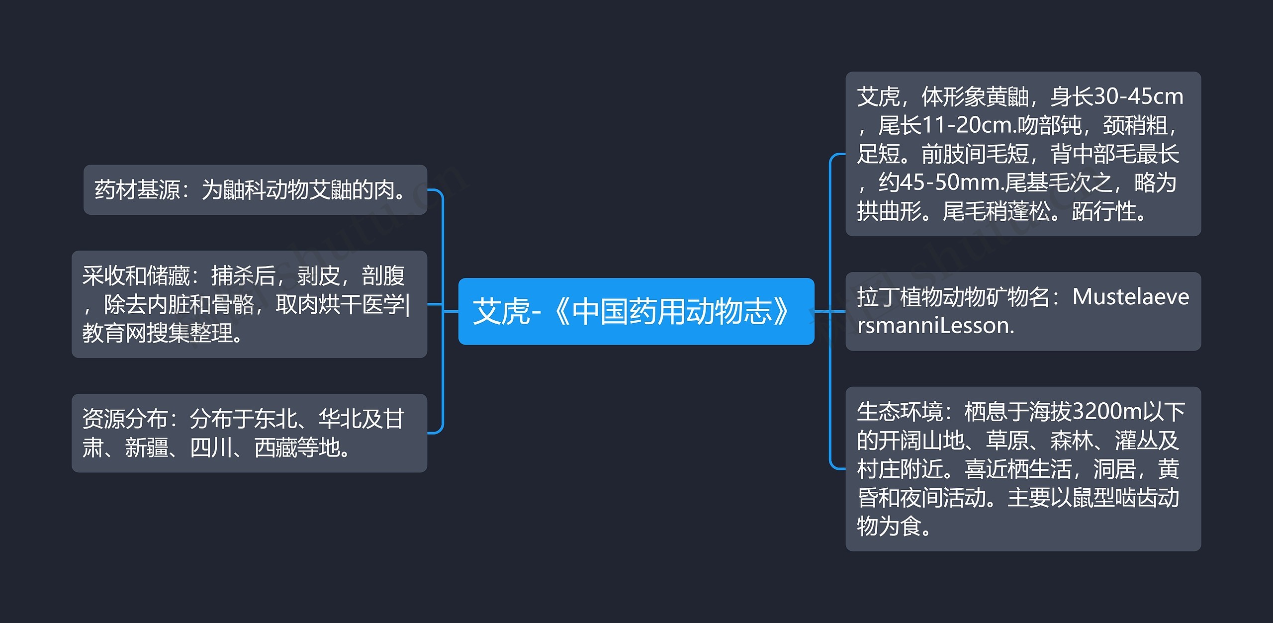 艾虎-《中国药用动物志》思维导图