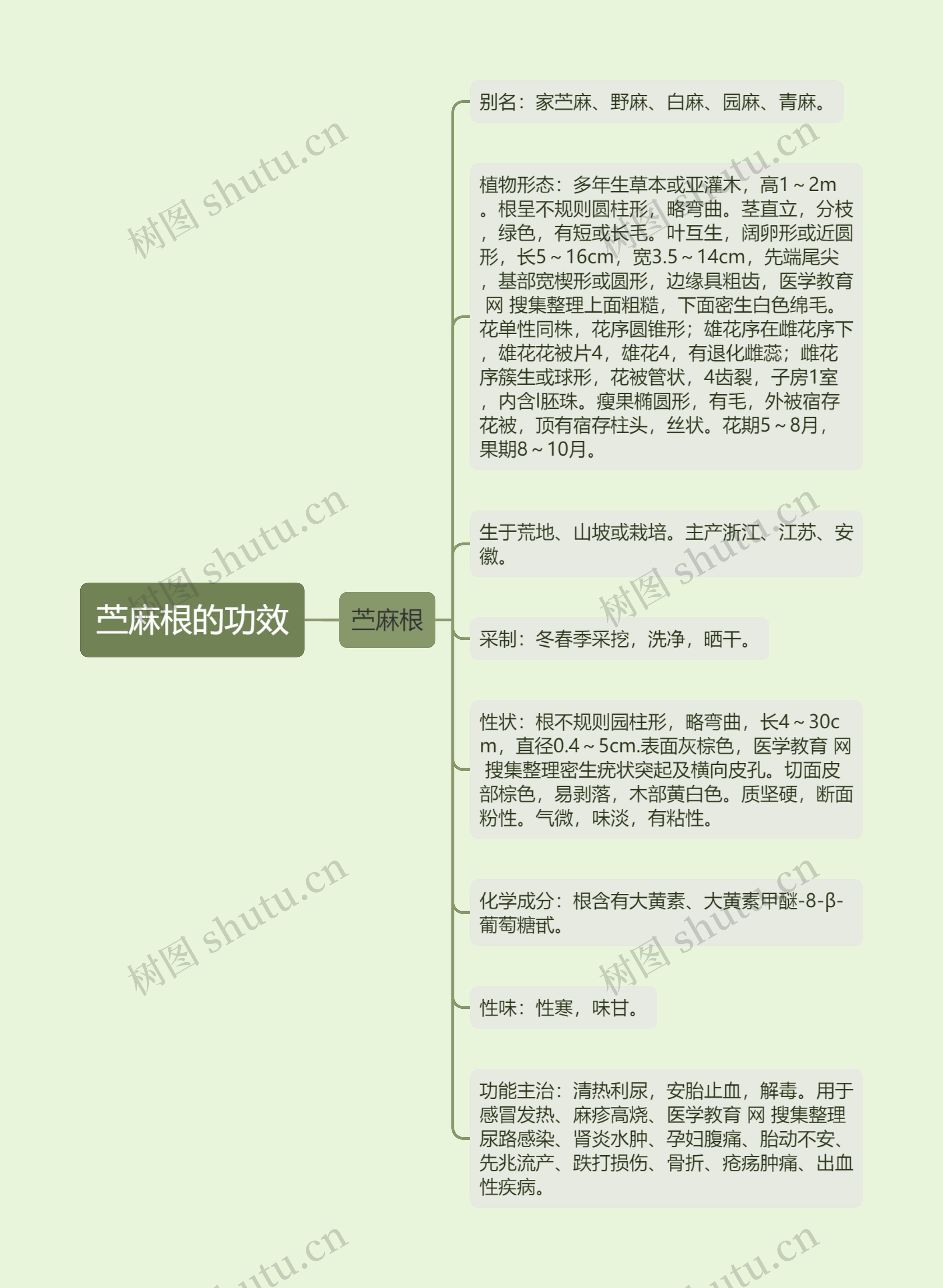 苎麻根的功效思维导图