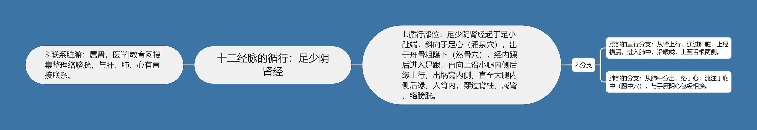 十二经脉的循行:足少阴肾经 十二经脉的循行:足少阴肾经