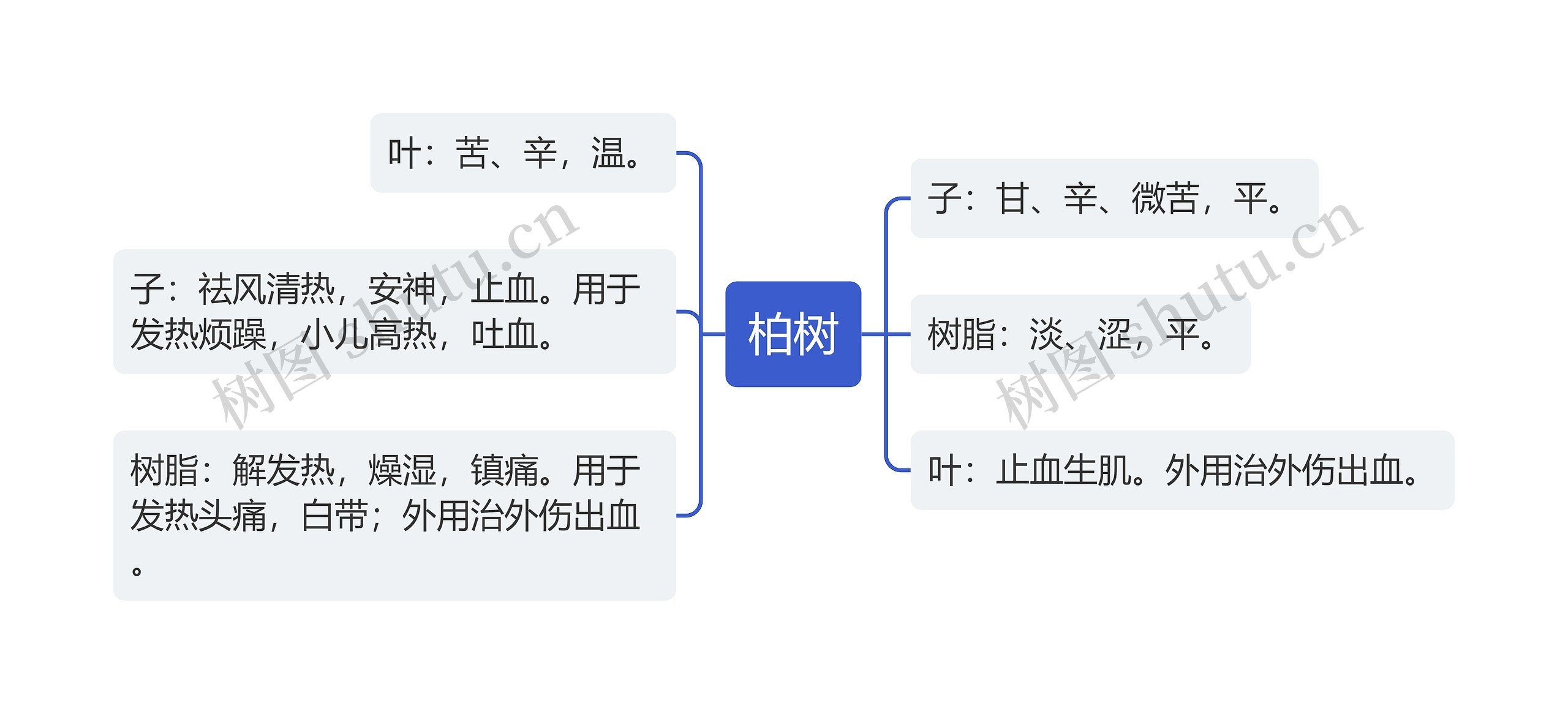 柏树思维导图