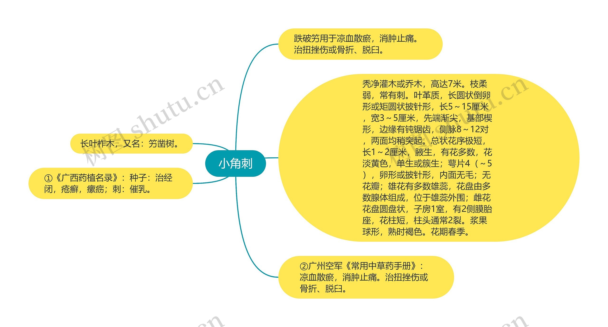 小角刺思维导图