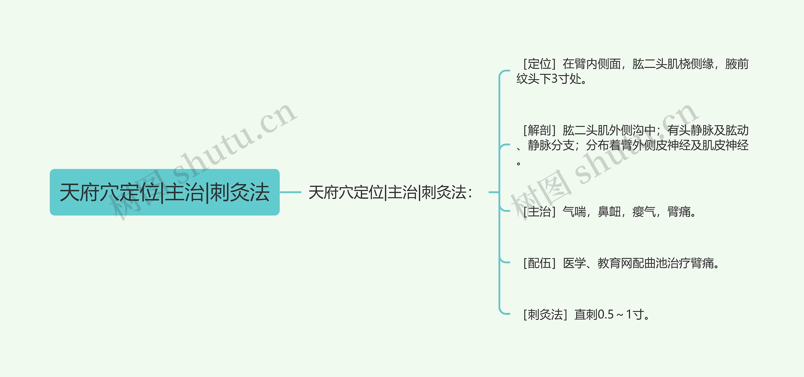 天府穴定位|主治|刺灸法思维导图