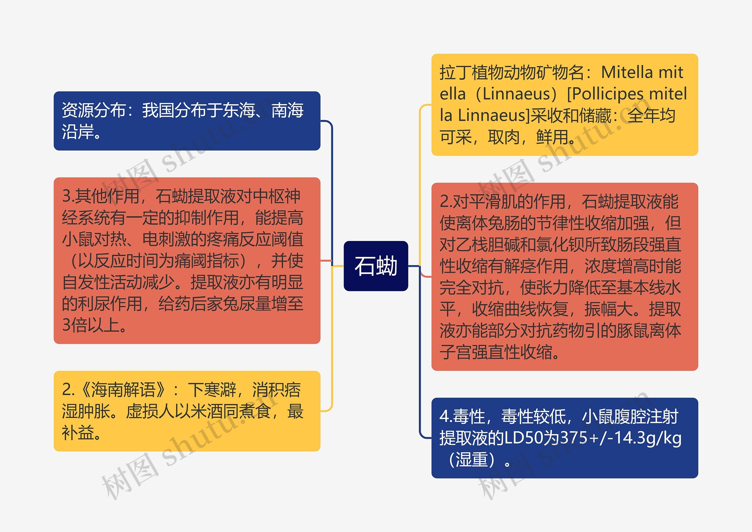 石蜐思维导图