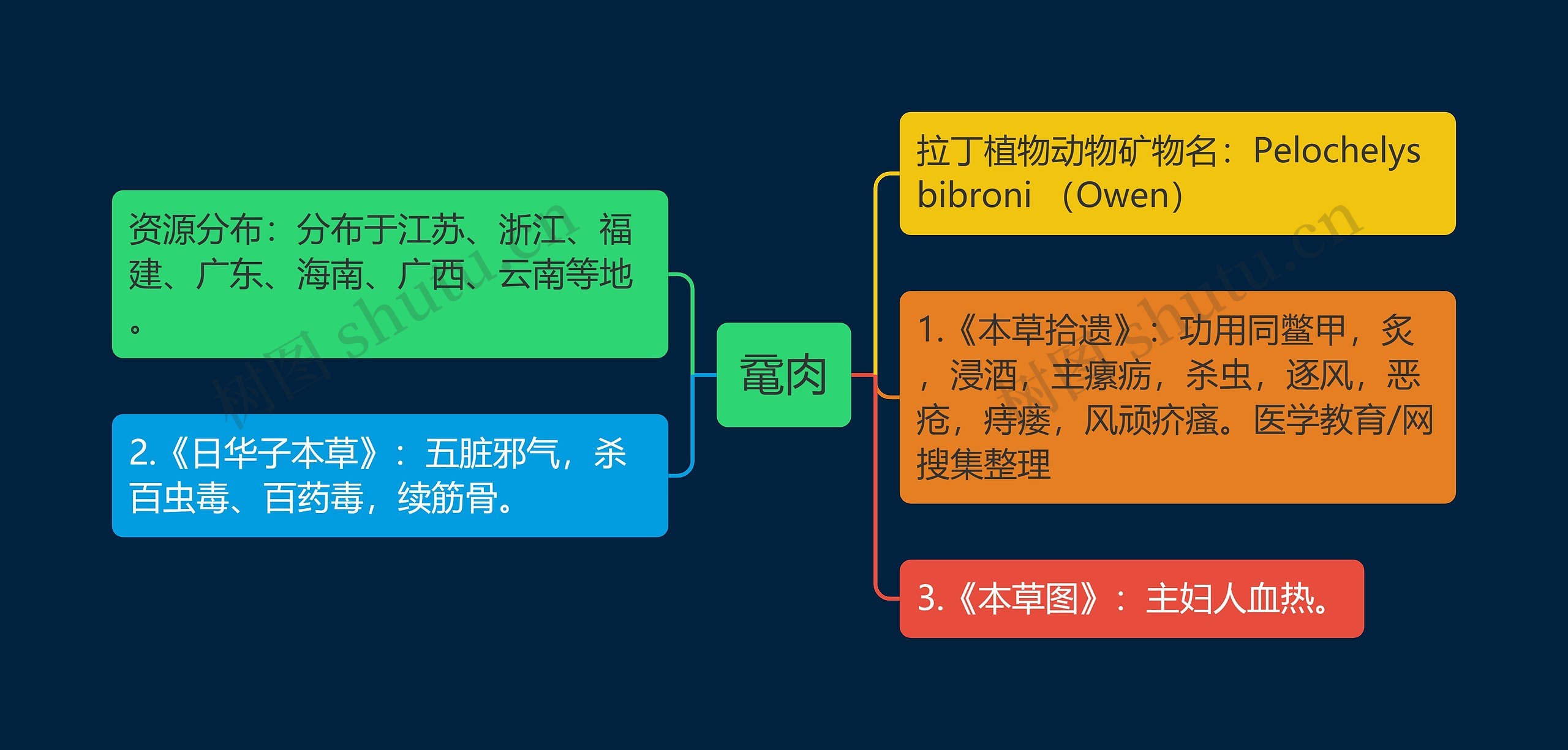 鼋肉思维导图