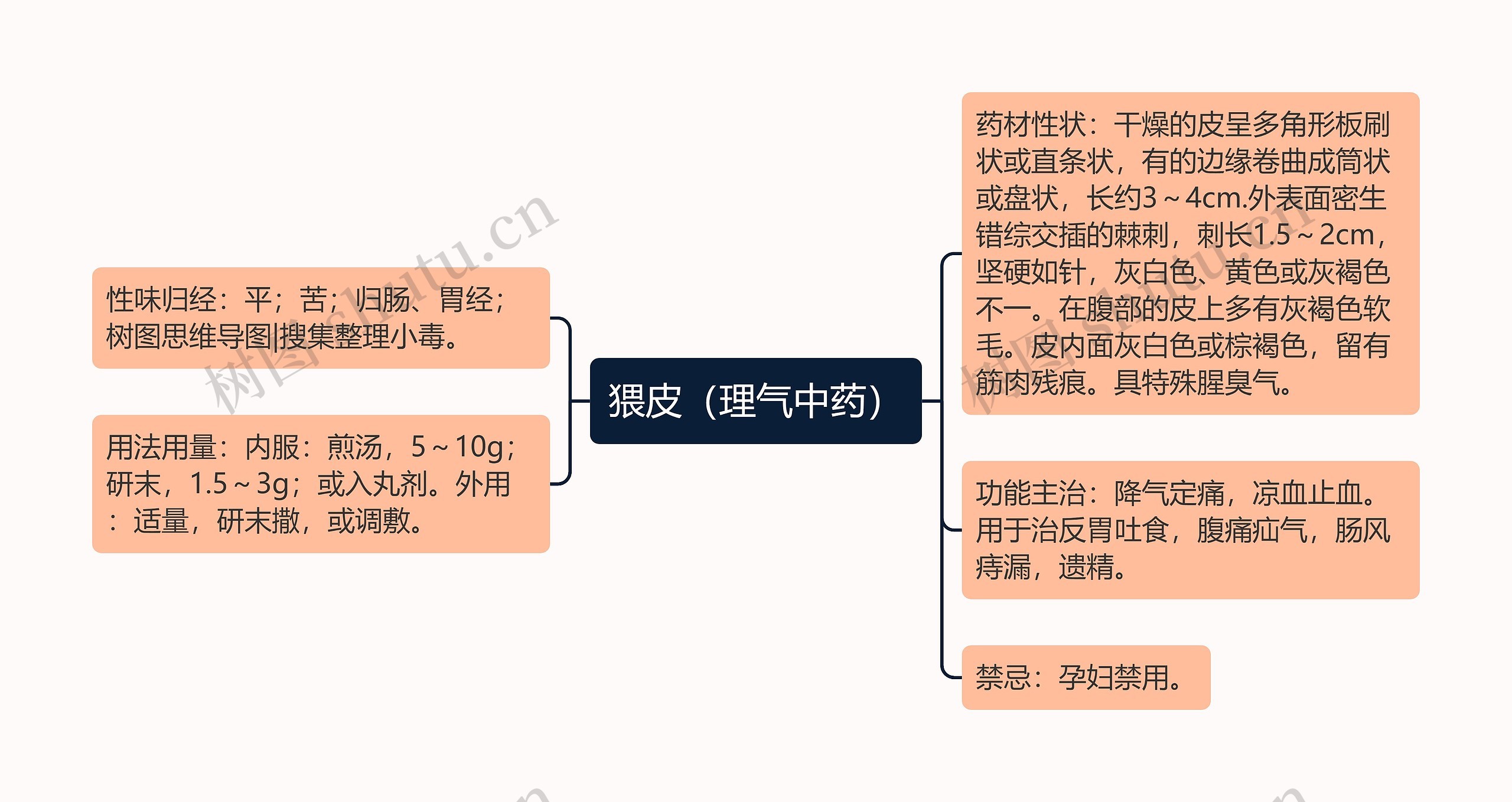 猥皮（理气中药）思维导图