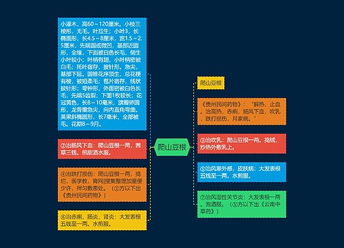 爬山豆根 爬山豆根