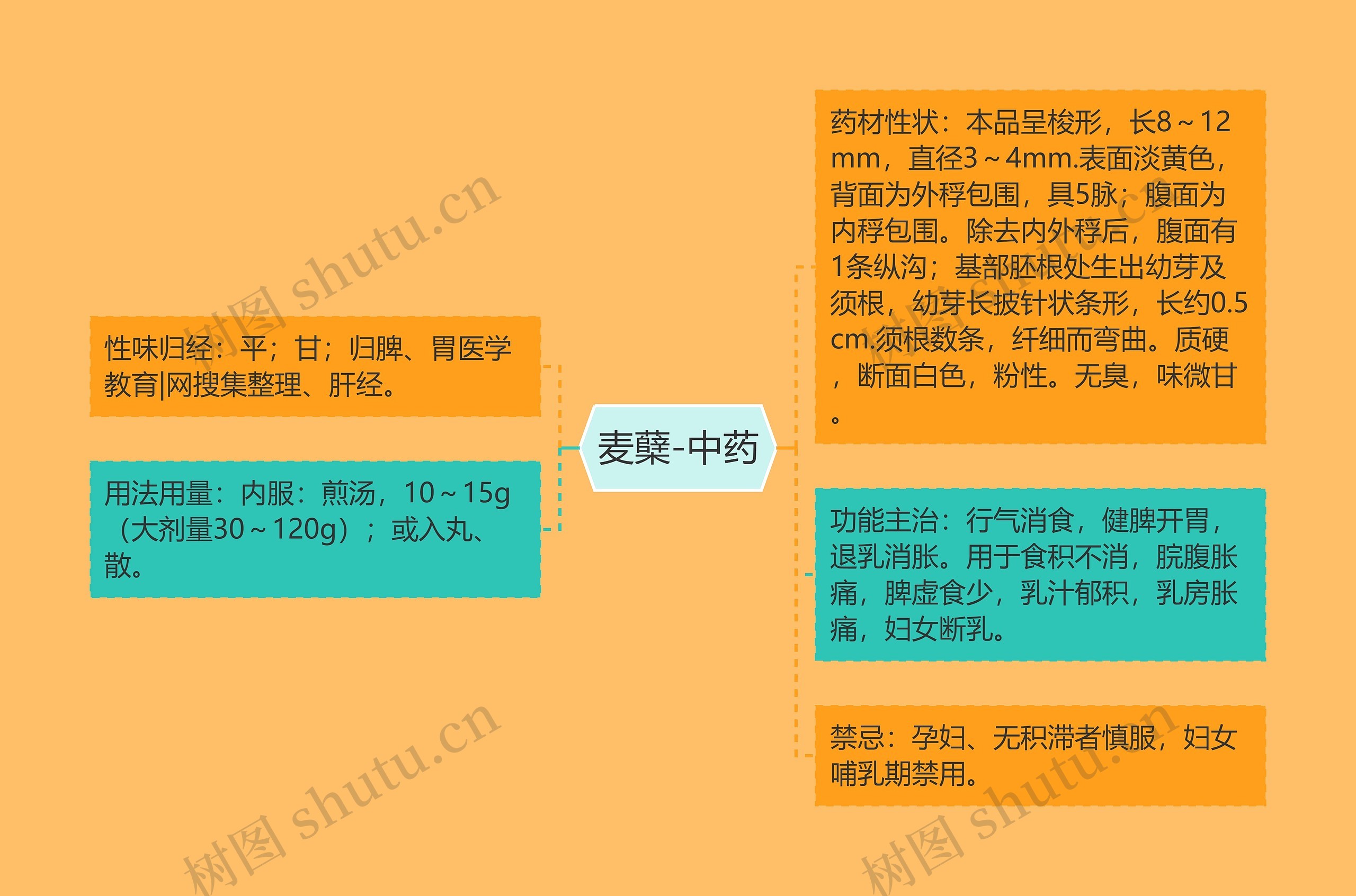 麦蘖-中药 麦蘖-中药