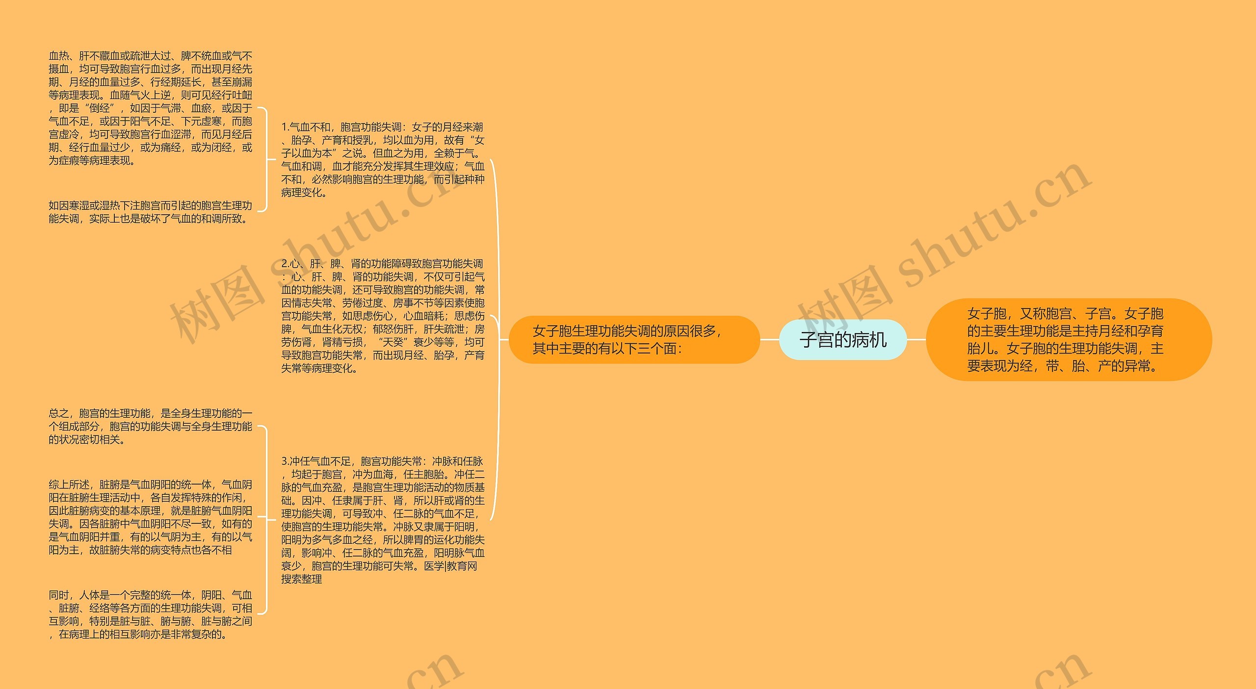 子宫的病机 子宫的病机