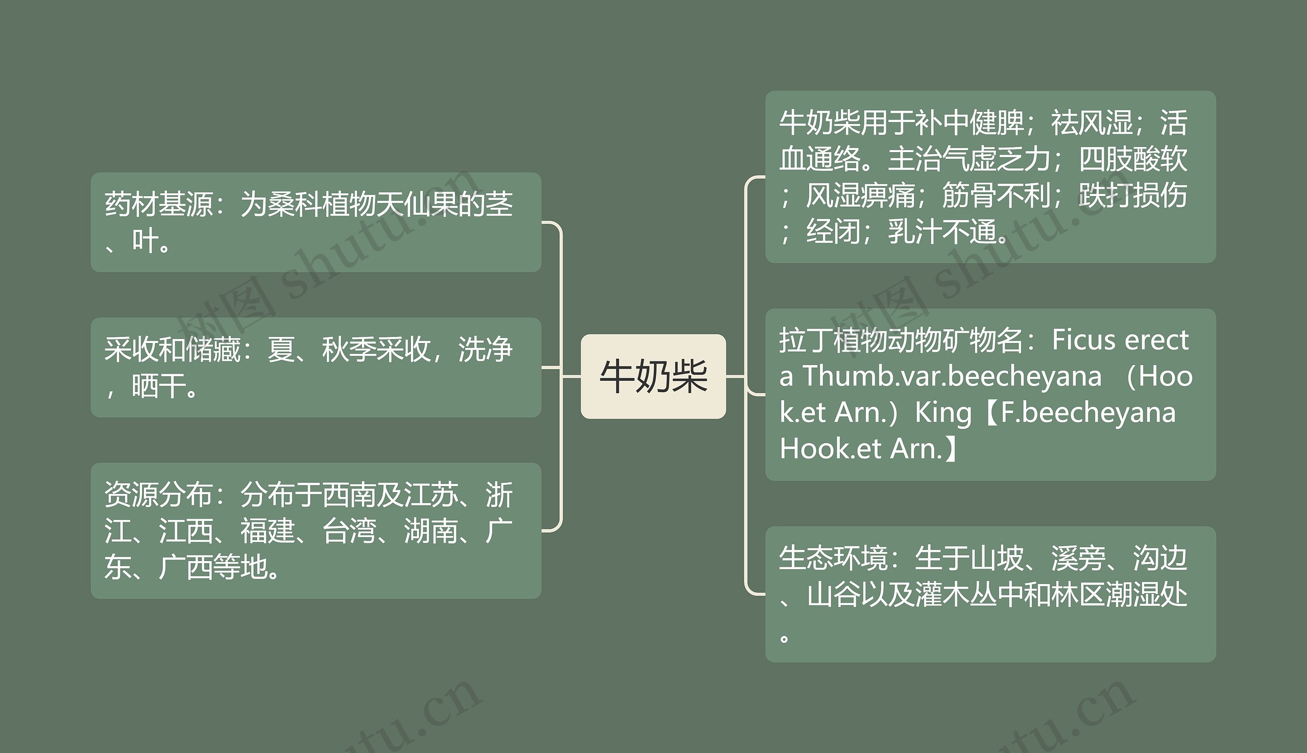 牛奶柴思维导图