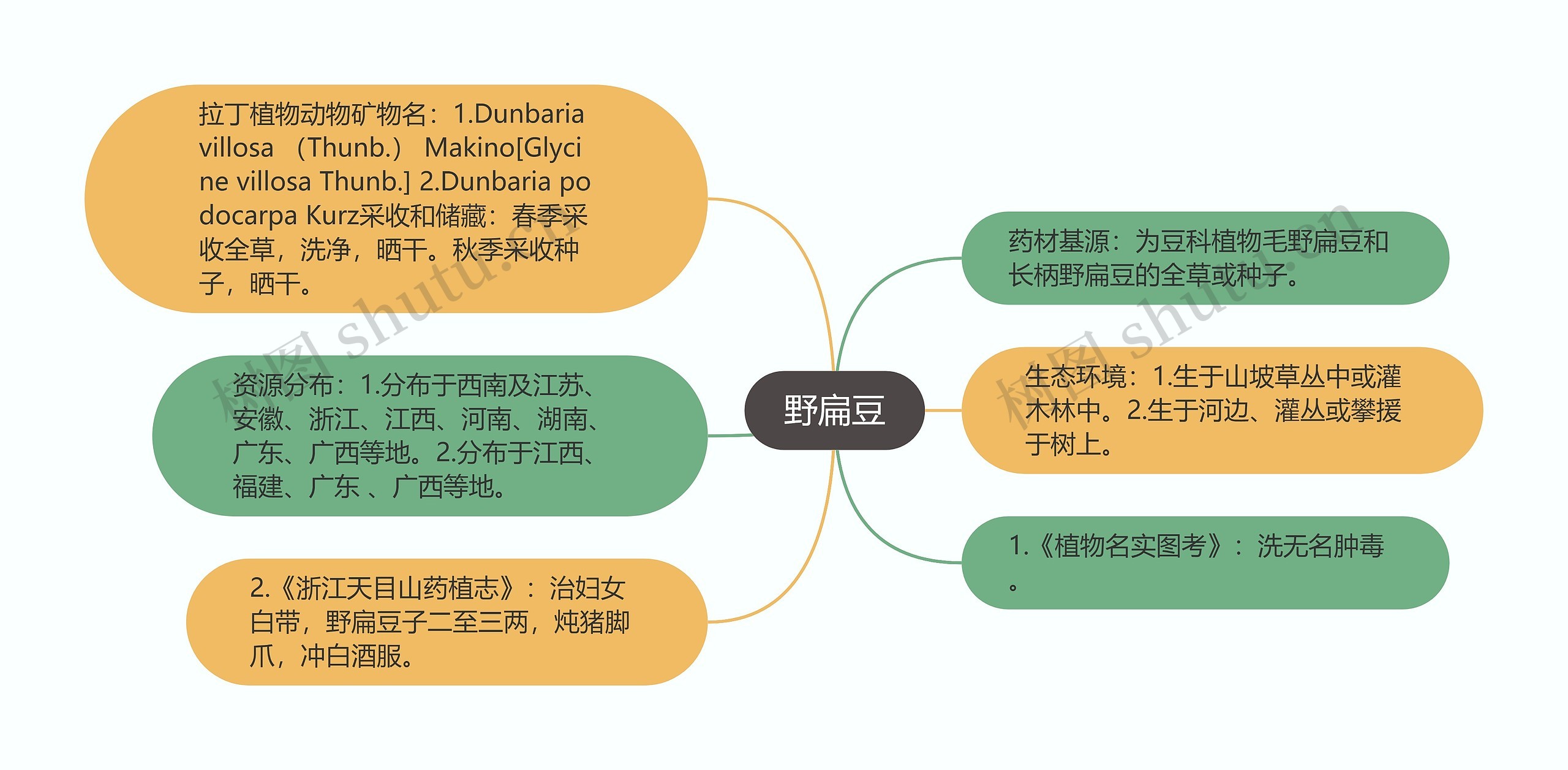 野扁豆思维导图