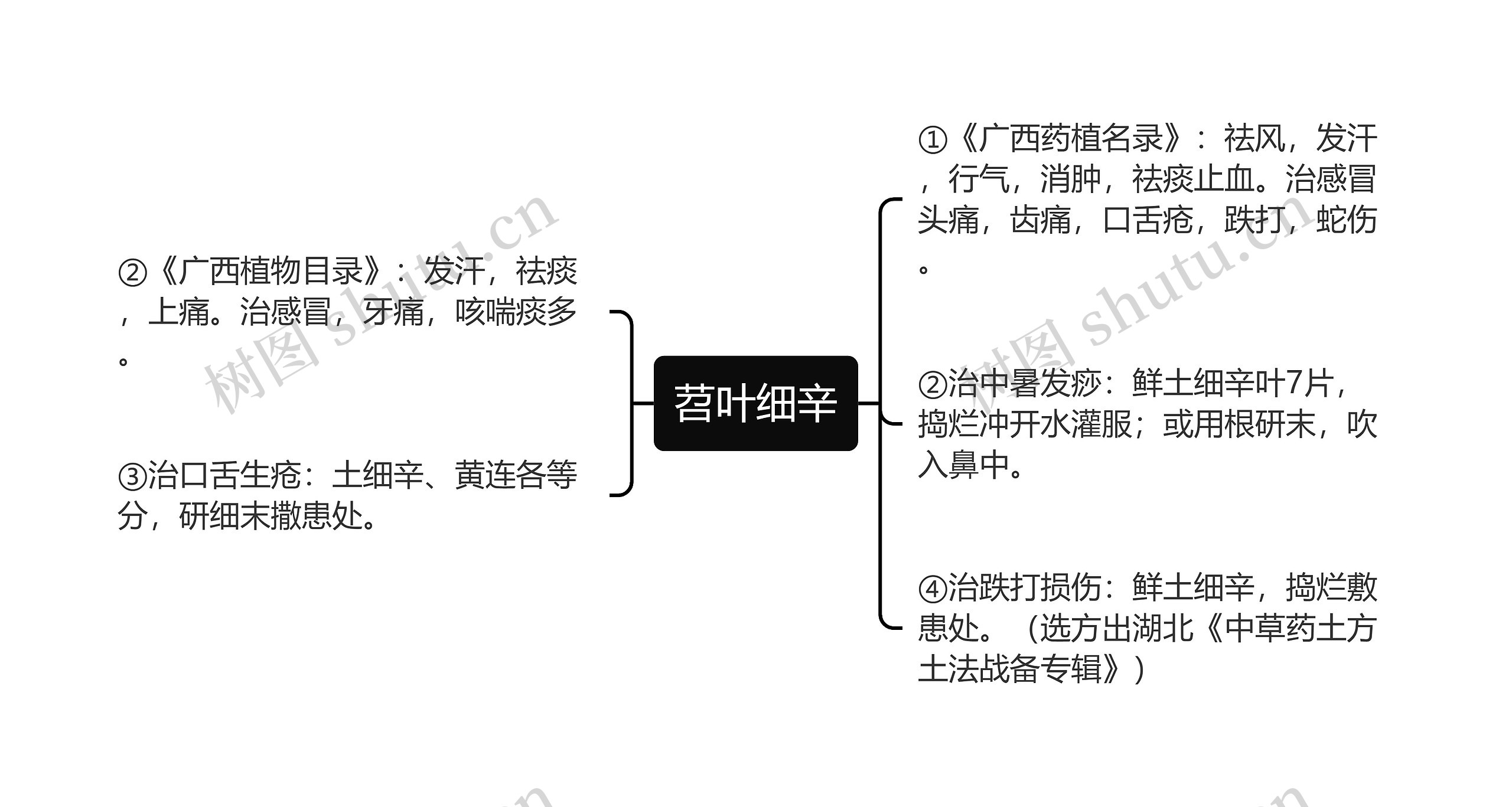 苕叶细辛思维导图